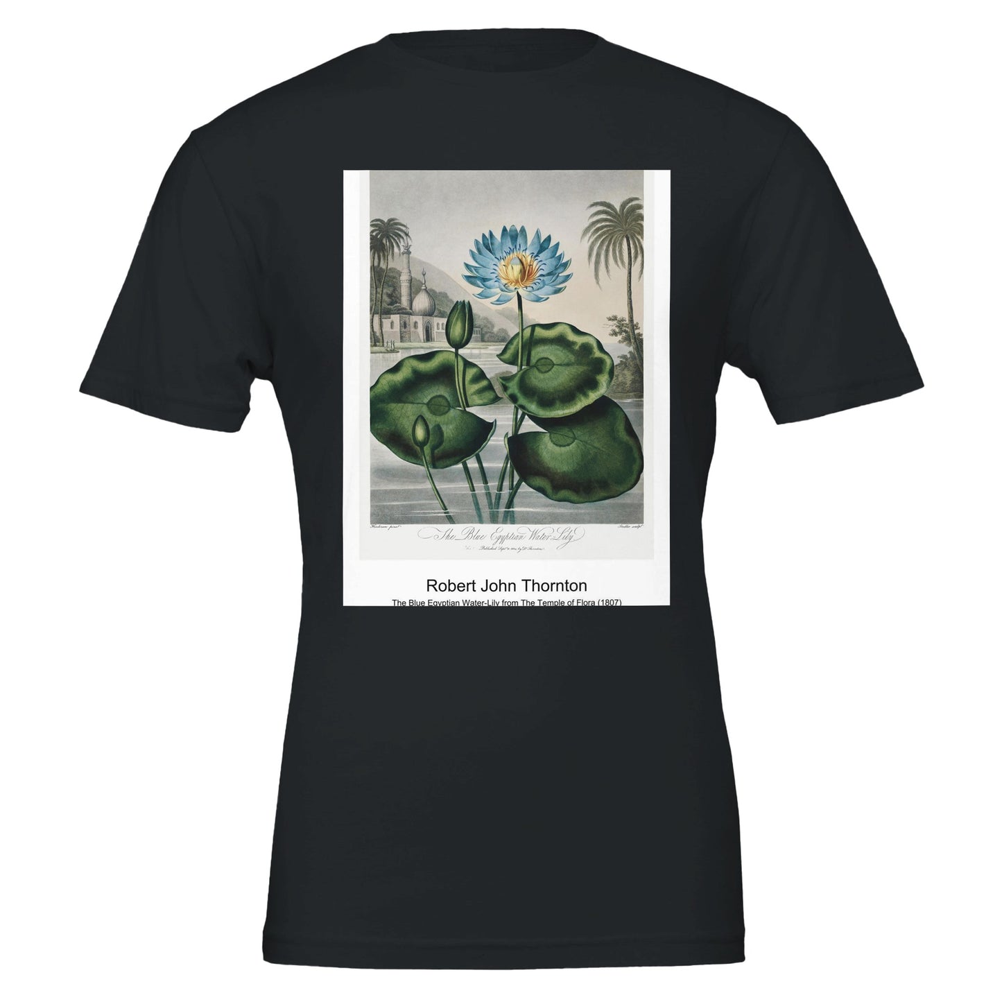 c203b06d-f97c-463b-84ea-49ca00afb55c