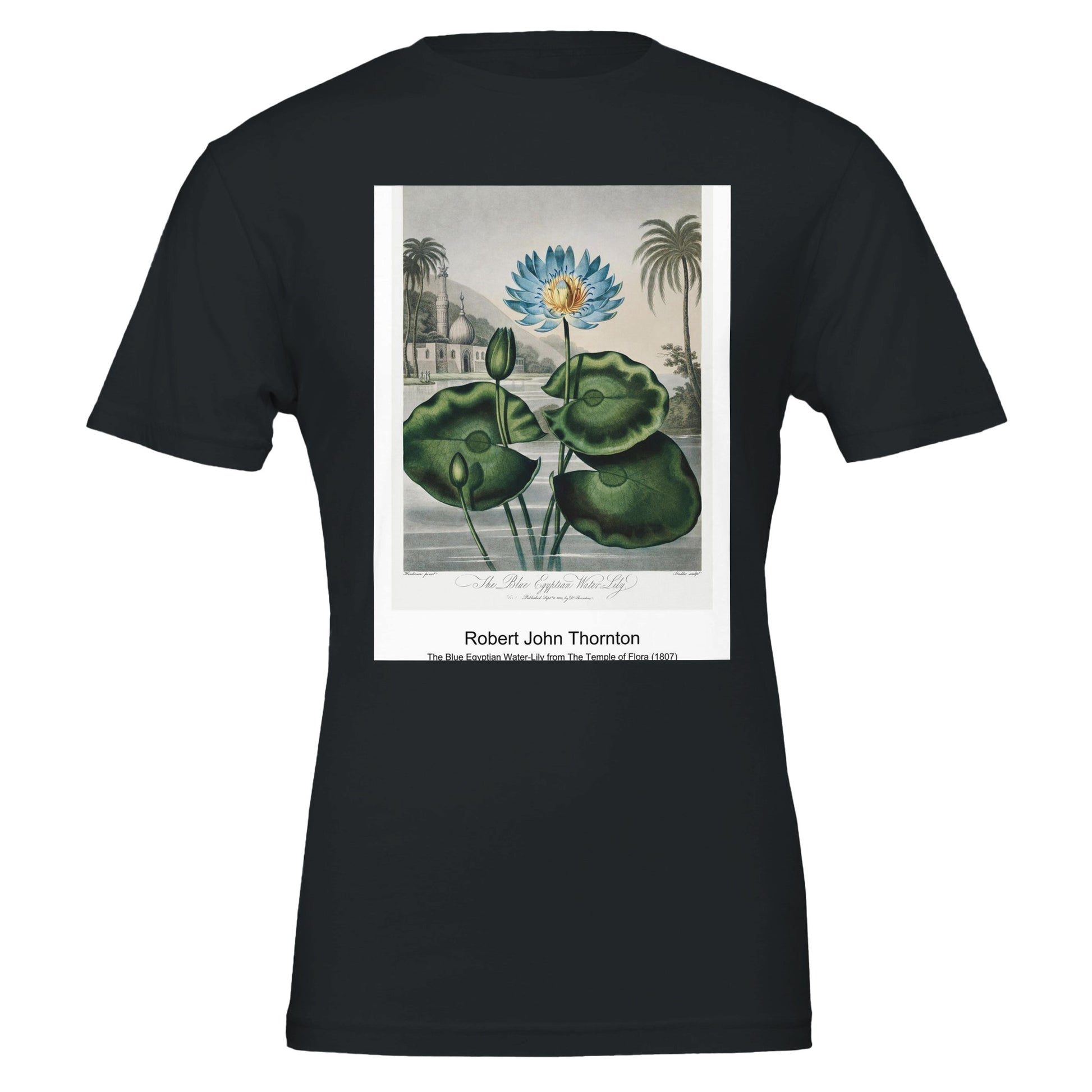 c203b06d-f97c-463b-84ea-49ca00afb55c