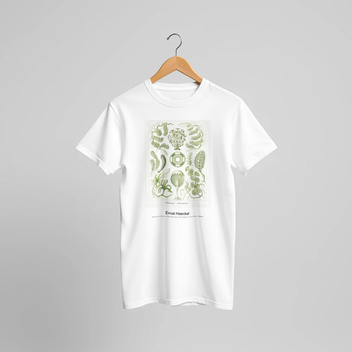 Siphoneae-Riesen Algetten from Kunstformen der Natur (1904) by Ernst Haeckel. Custom Print on a 100% Airlume Combed and Ring-Spun Cotton Unisex Crewneck T-shirt Original Aspect Ratio
