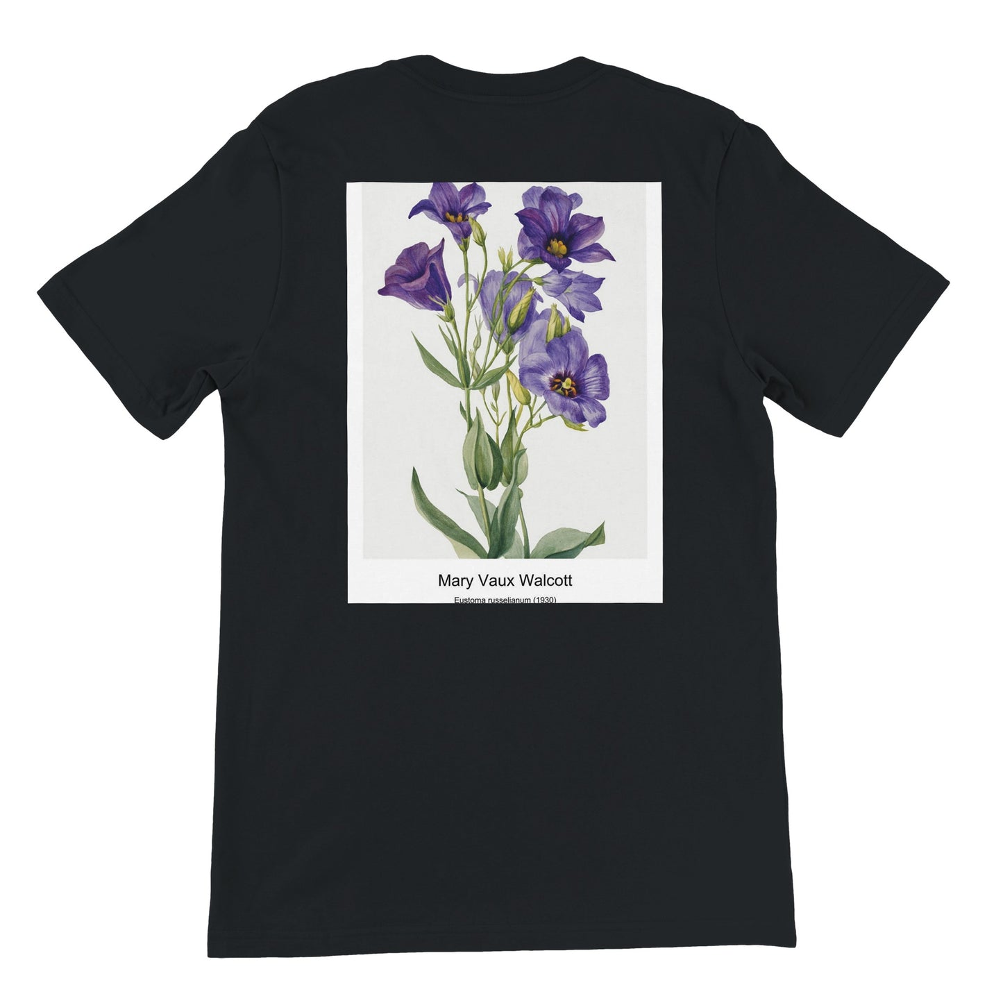 c3d7b70c-4cb6-4f13-b143-0cc857ab4161