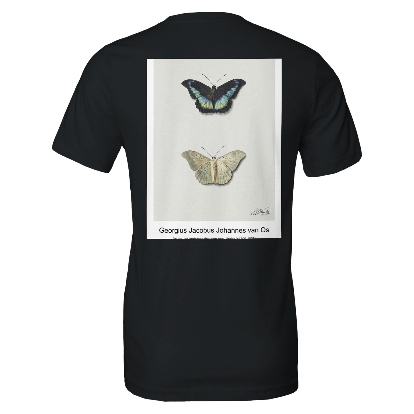 c3f67c06-cc79-4863-8d65-2cd893e14afd