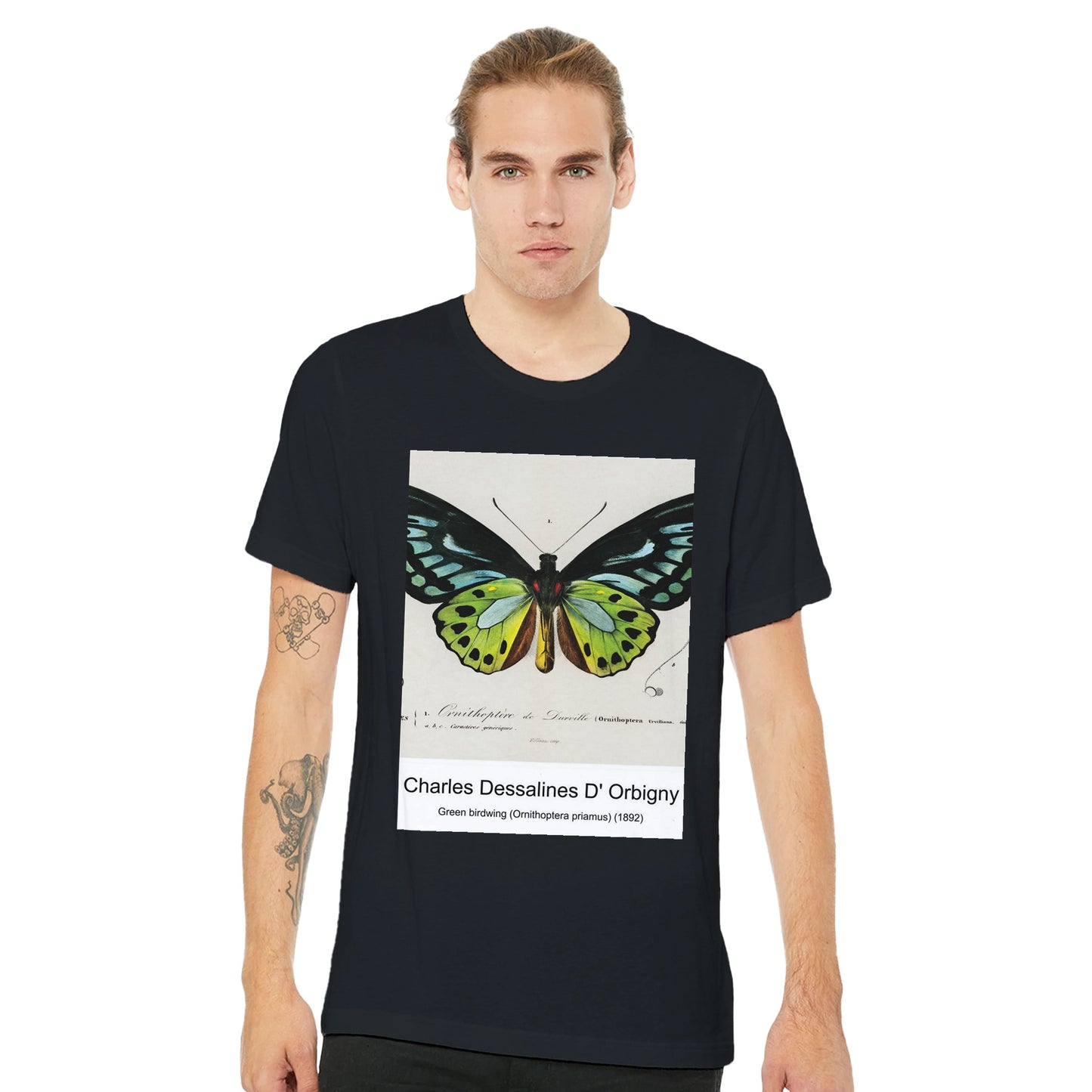 c441a947-469d-43ad-858d-71344145b0d4