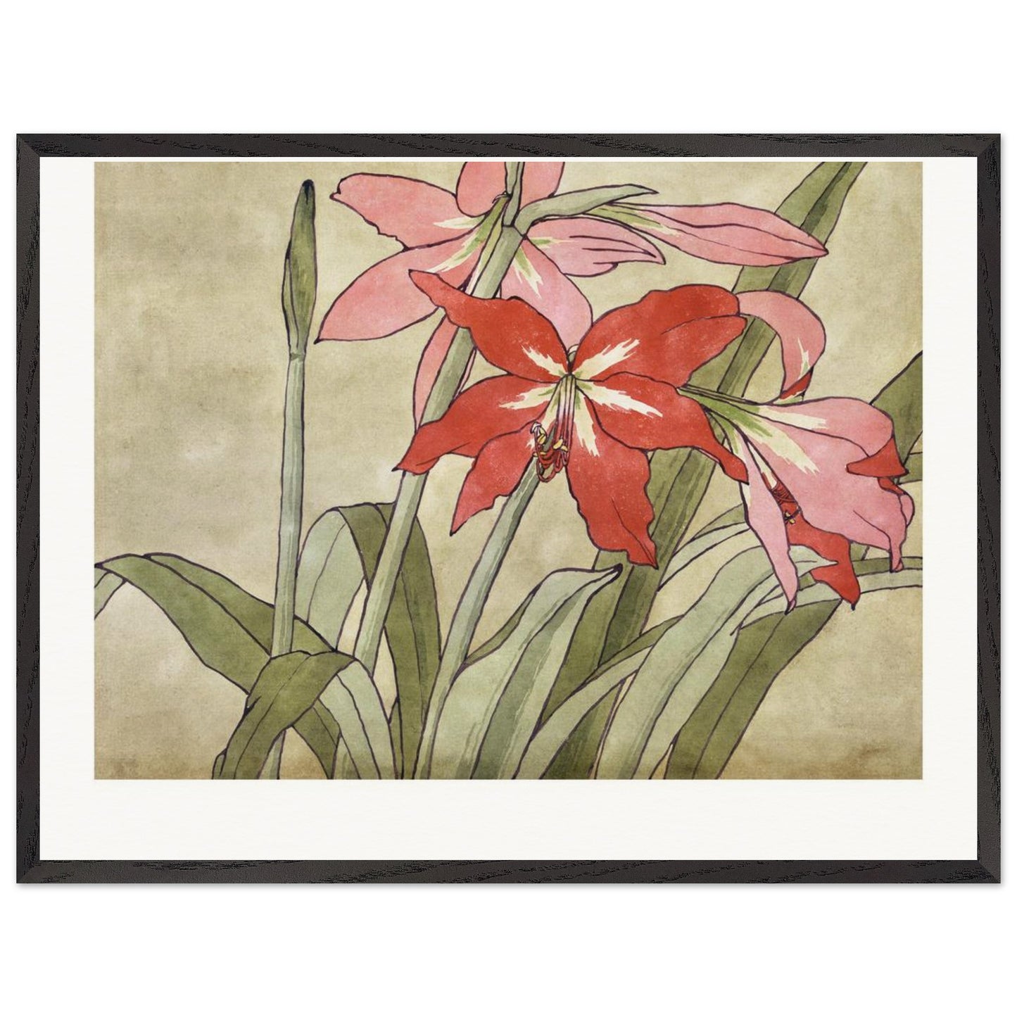 c494e392-27a2-4180-aa6e-ed1e7ed1237a