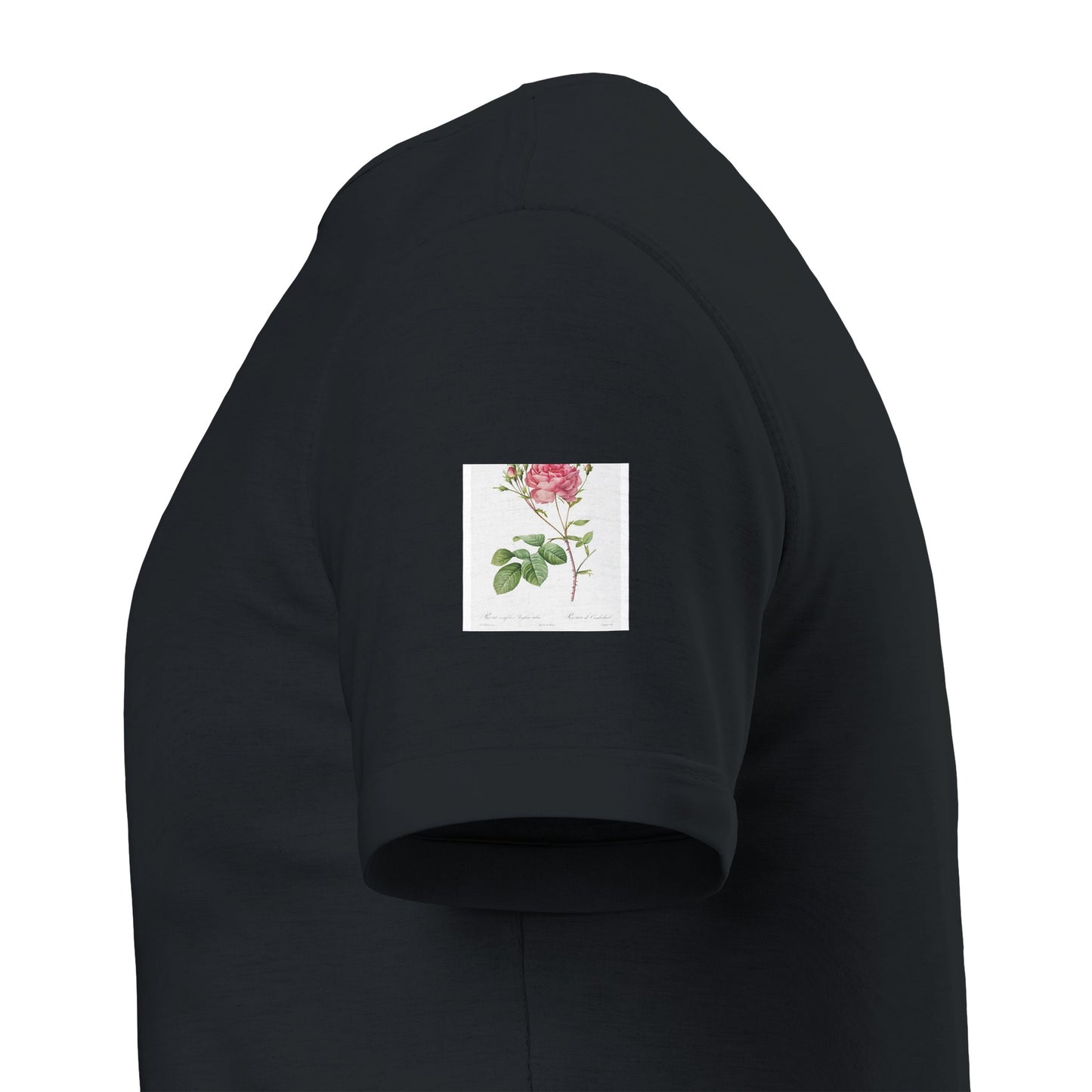 c65792b9-17e9-4f7c-a433-76d4dd6f0fe6