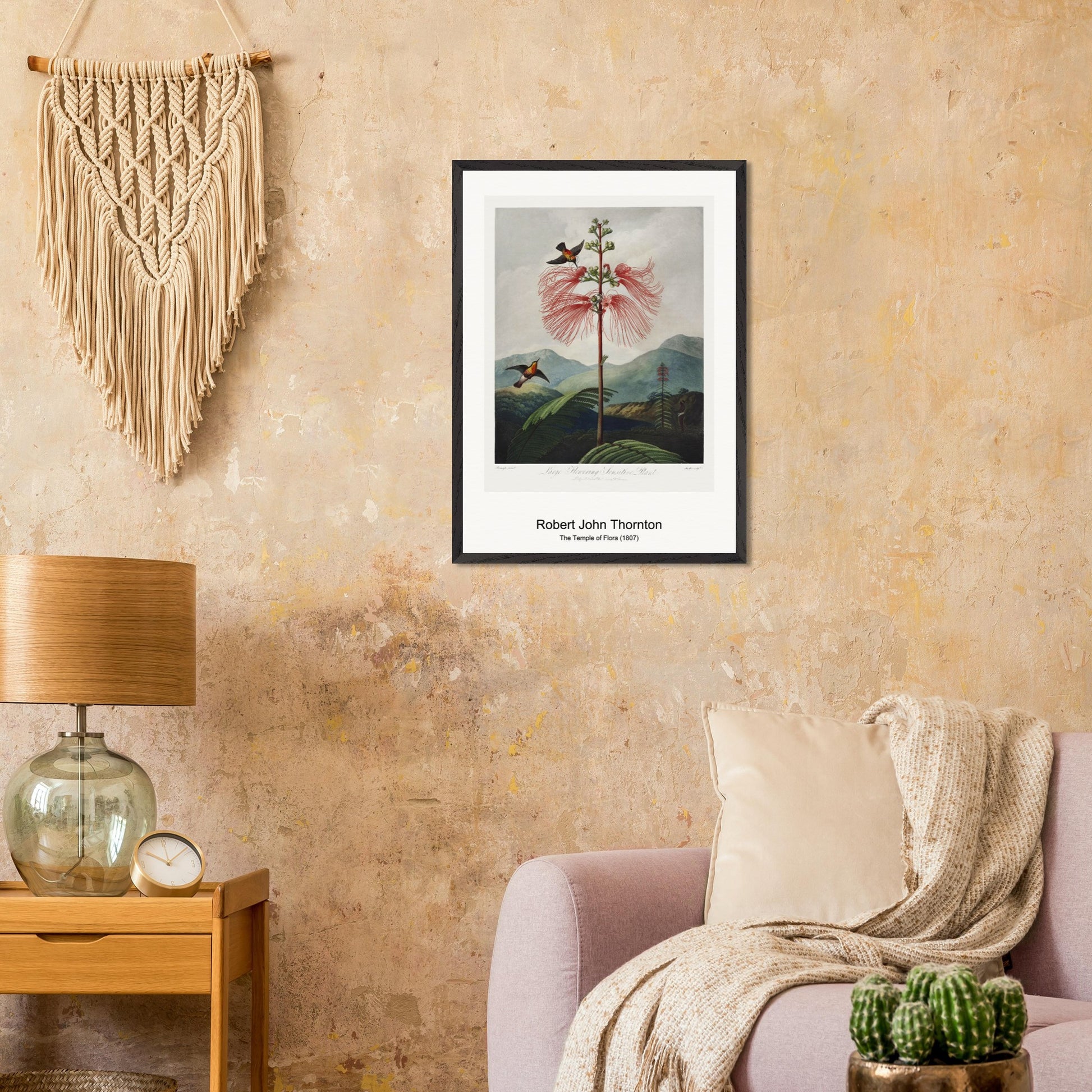 c67d200a-a0cb-4409-a165-0d6e870b0cce