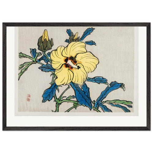 Hibiscus (1913) by Kōno Bairei. Archival Print on Museum Quality Matte Paper. Premium Wood Framed Wall Art. Original Aspect Ratio