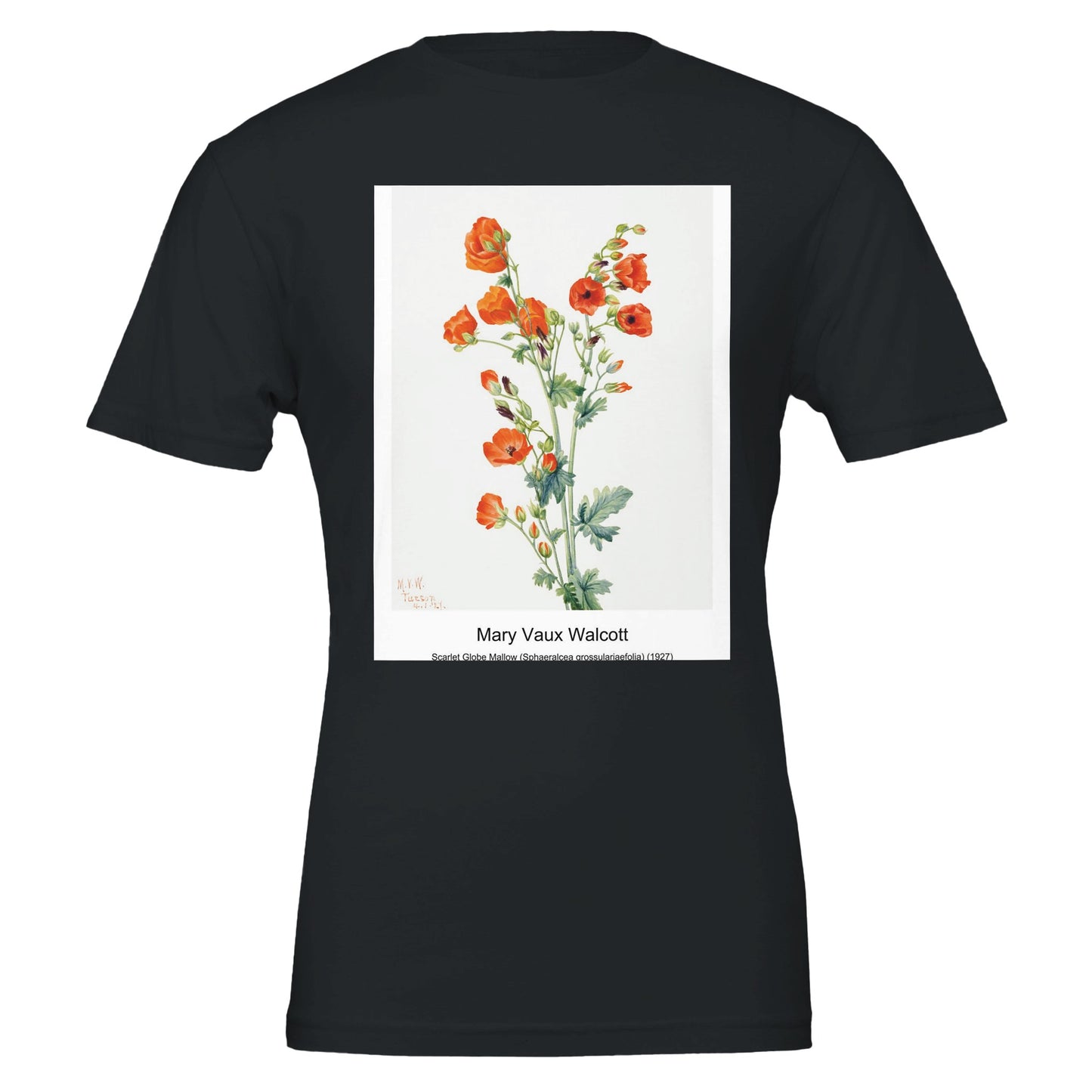 c736cd07-fabc-4970-9461-18e90c863895