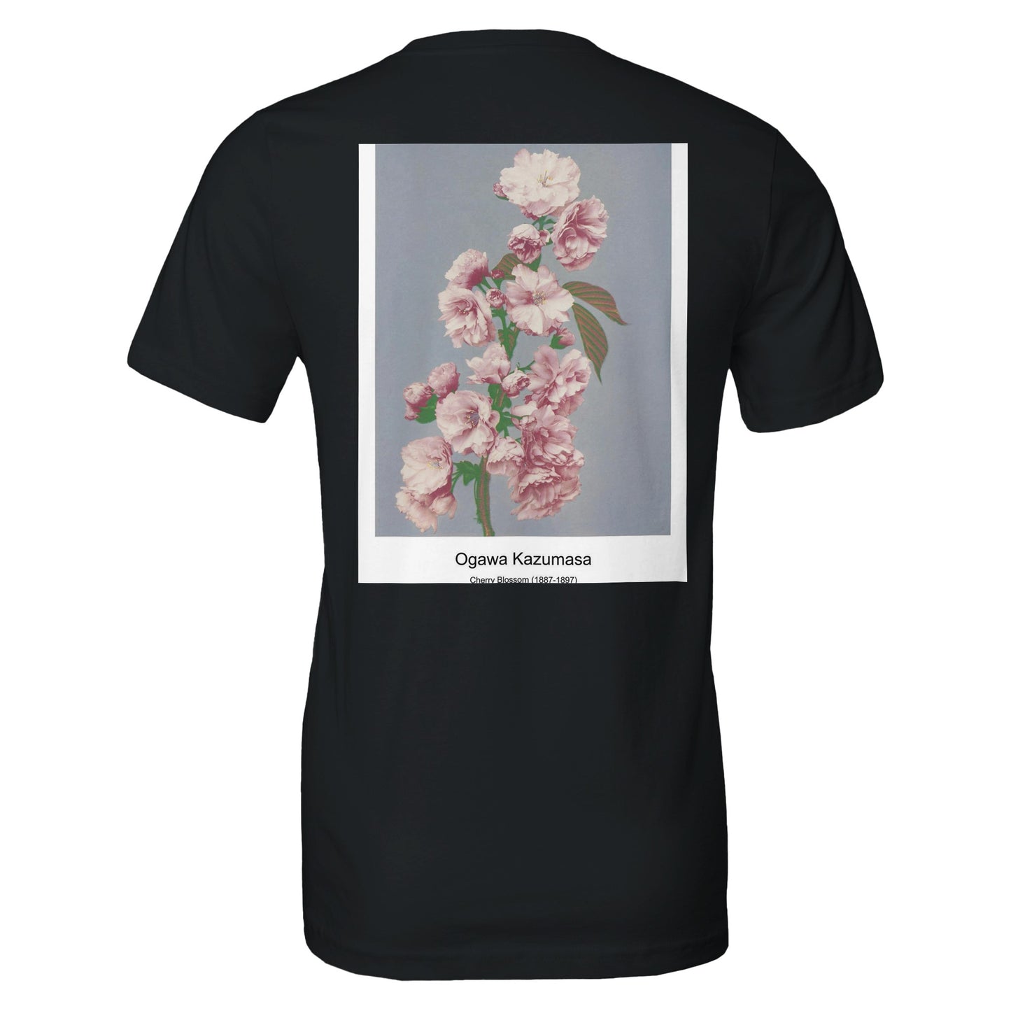 c7732556-d8d3-4c7b-b12d-c1af1d154a71