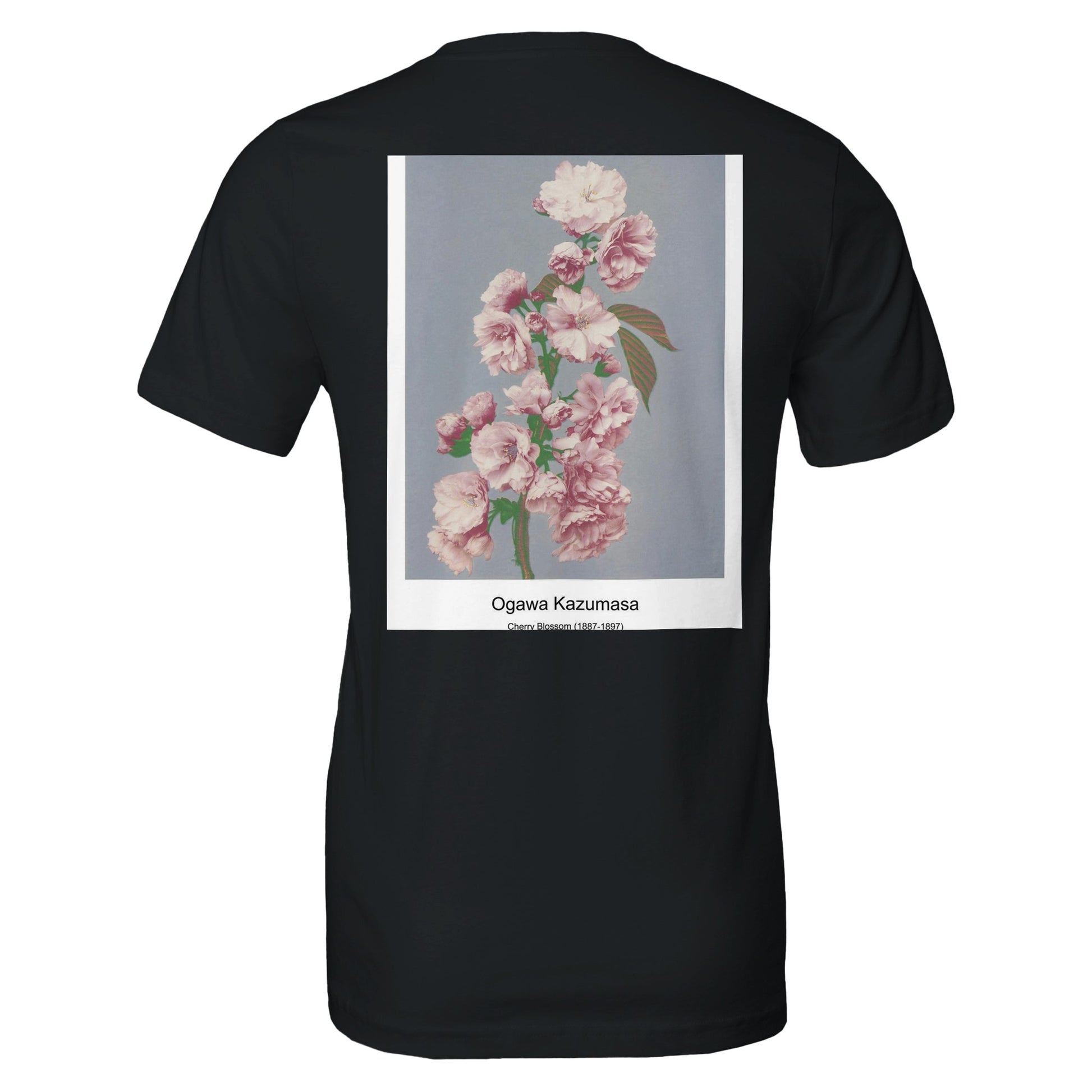 c7732556-d8d3-4c7b-b12d-c1af1d154a71