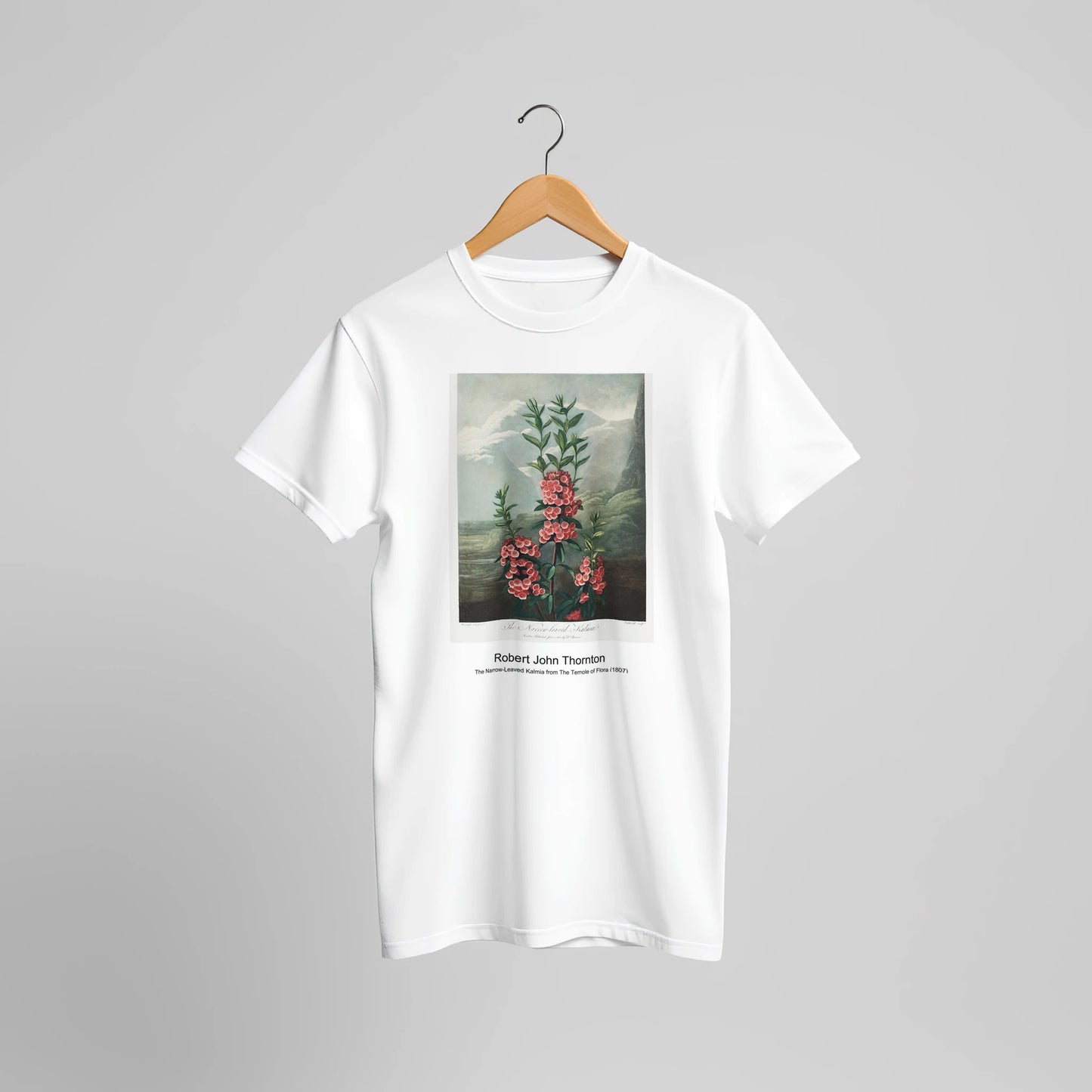 c7a61021-07b1-4f0a-a1c9-297da58c912e