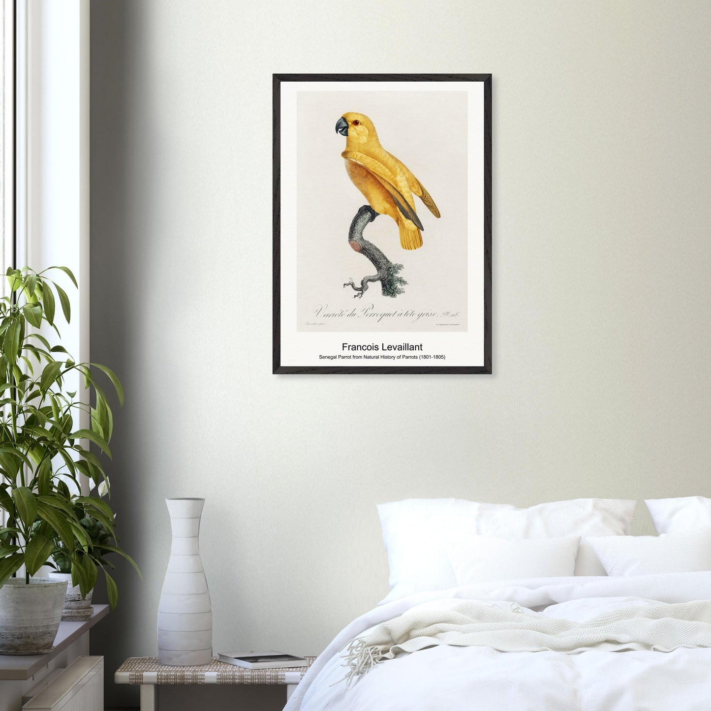 c7c75a51-f9e4-40d6-bd21-a26caac330e3