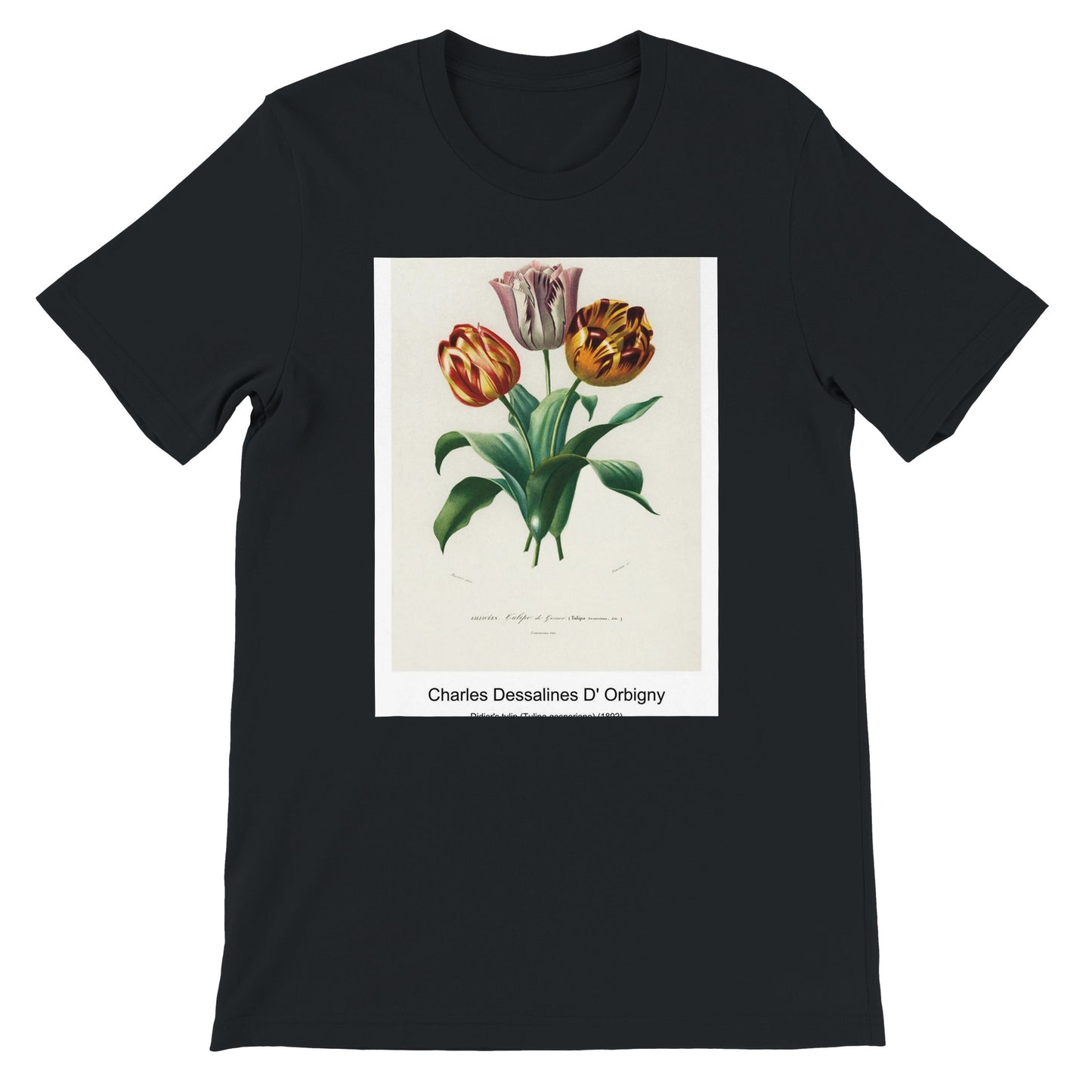 c82db25e-0453-4ad9-9c88-3f3e2aeb3375