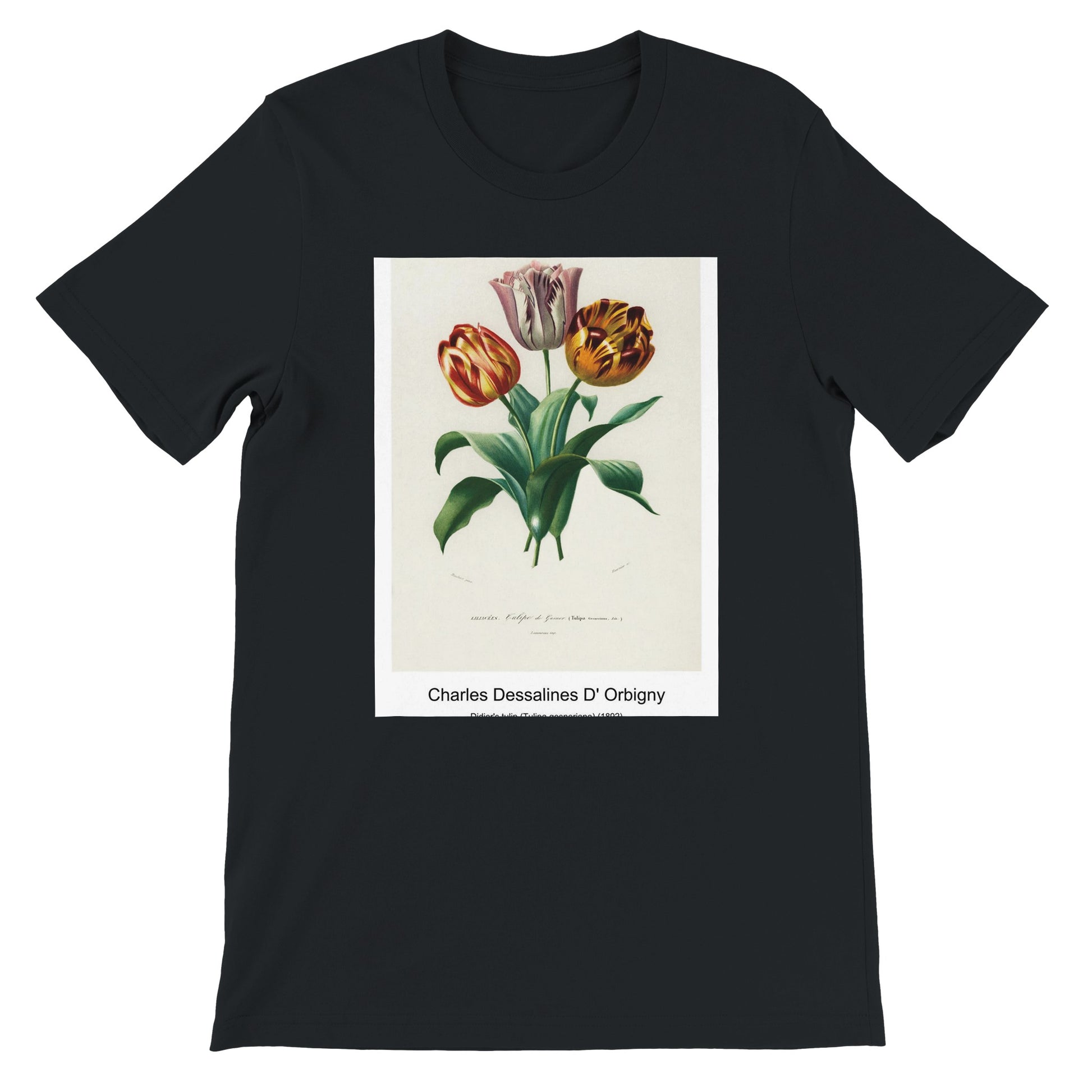 c82db25e-0453-4ad9-9c88-3f3e2aeb3375