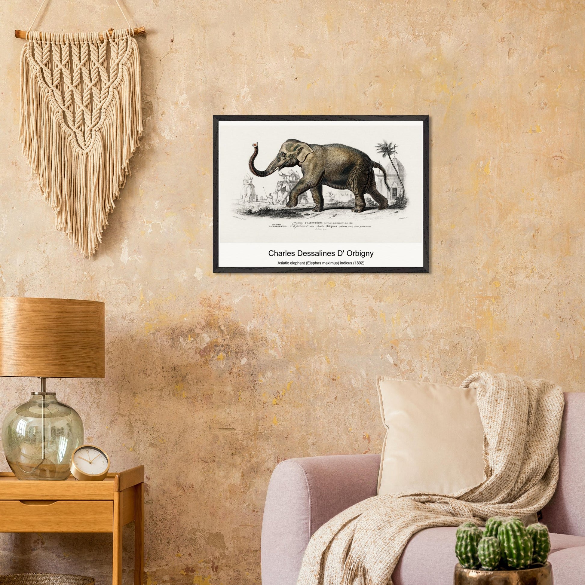 c8ef7447-a9ca-47c6-b719-45b6c0796005