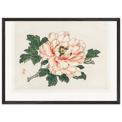 Pink rose (1913) by Kōno Bairei. Archival Print on Museum Quality Matte Paper. Premium Wood Framed Wall Art. Original Aspect Ratio