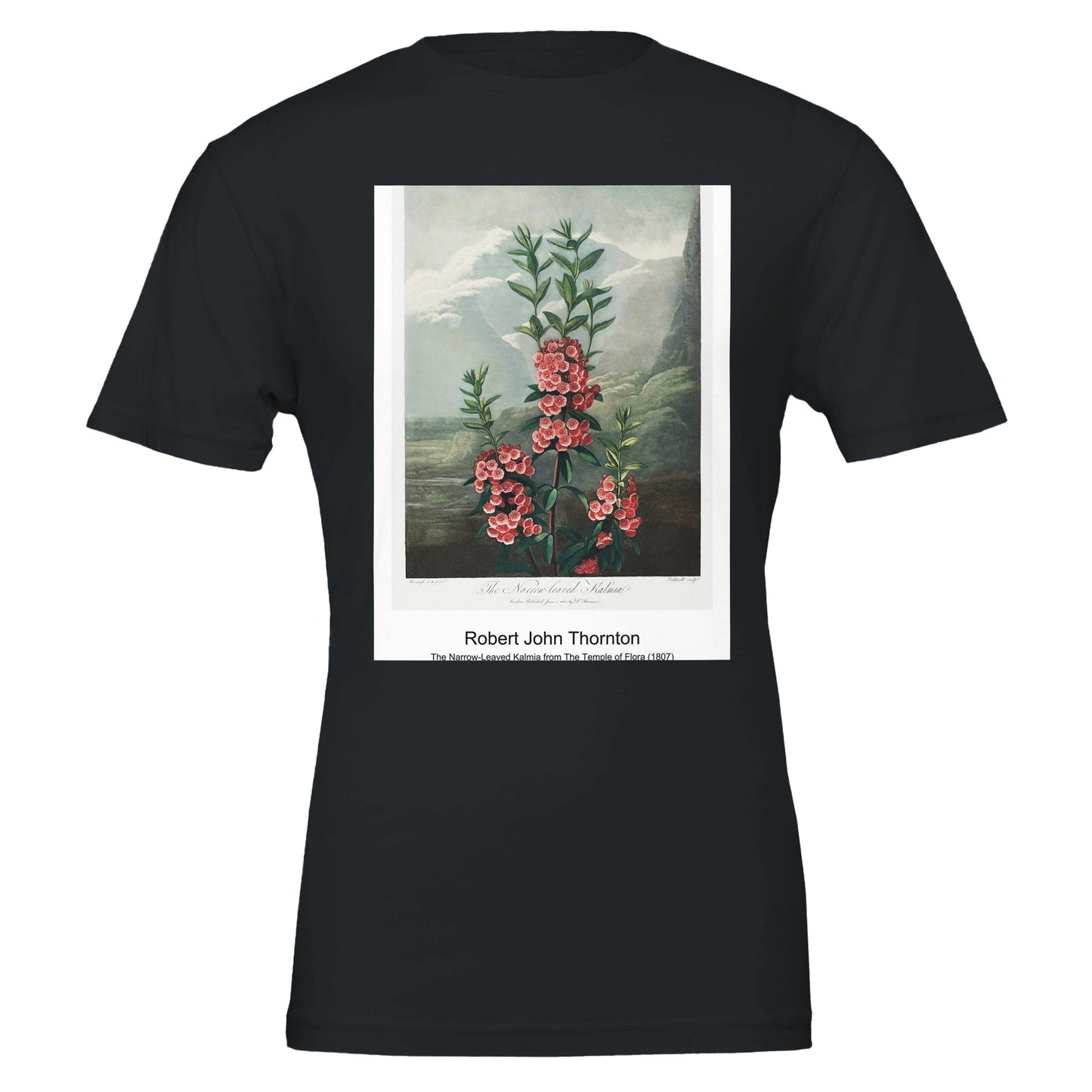 cb71a454-1e5e-4d29-832c-83ebec477a46