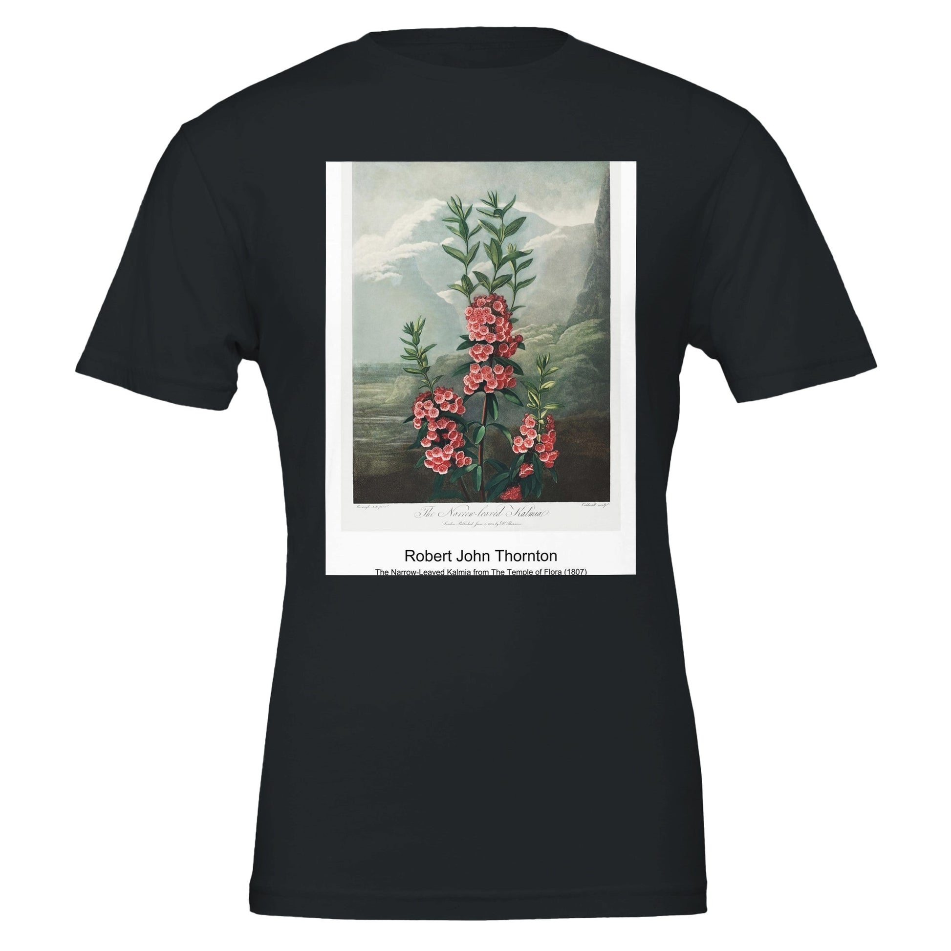 cb71a454-1e5e-4d29-832c-83ebec477a46