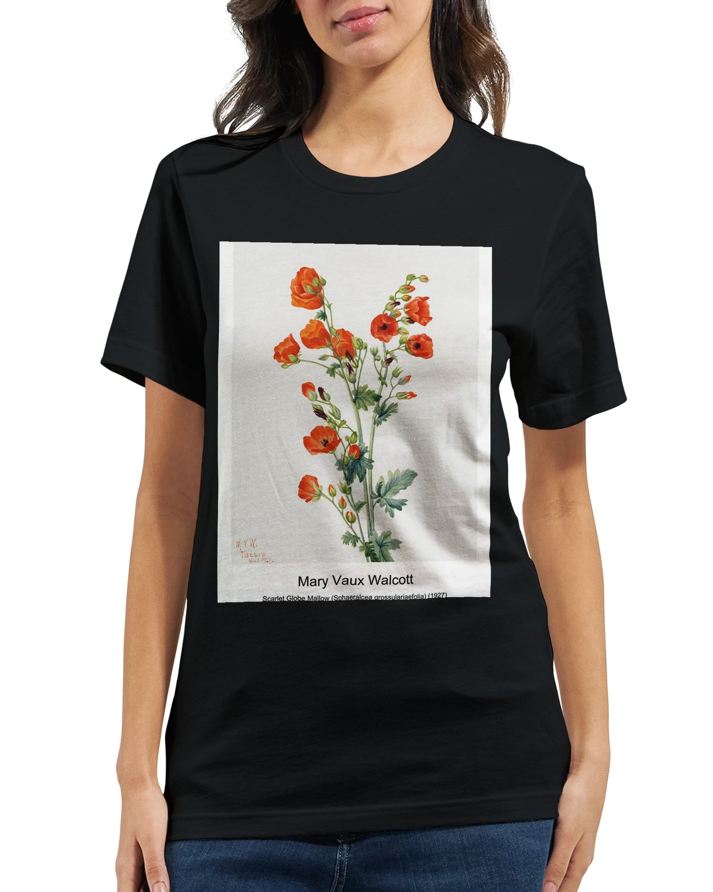 cba39a90-b13a-413b-9a22-b82ed36ea363