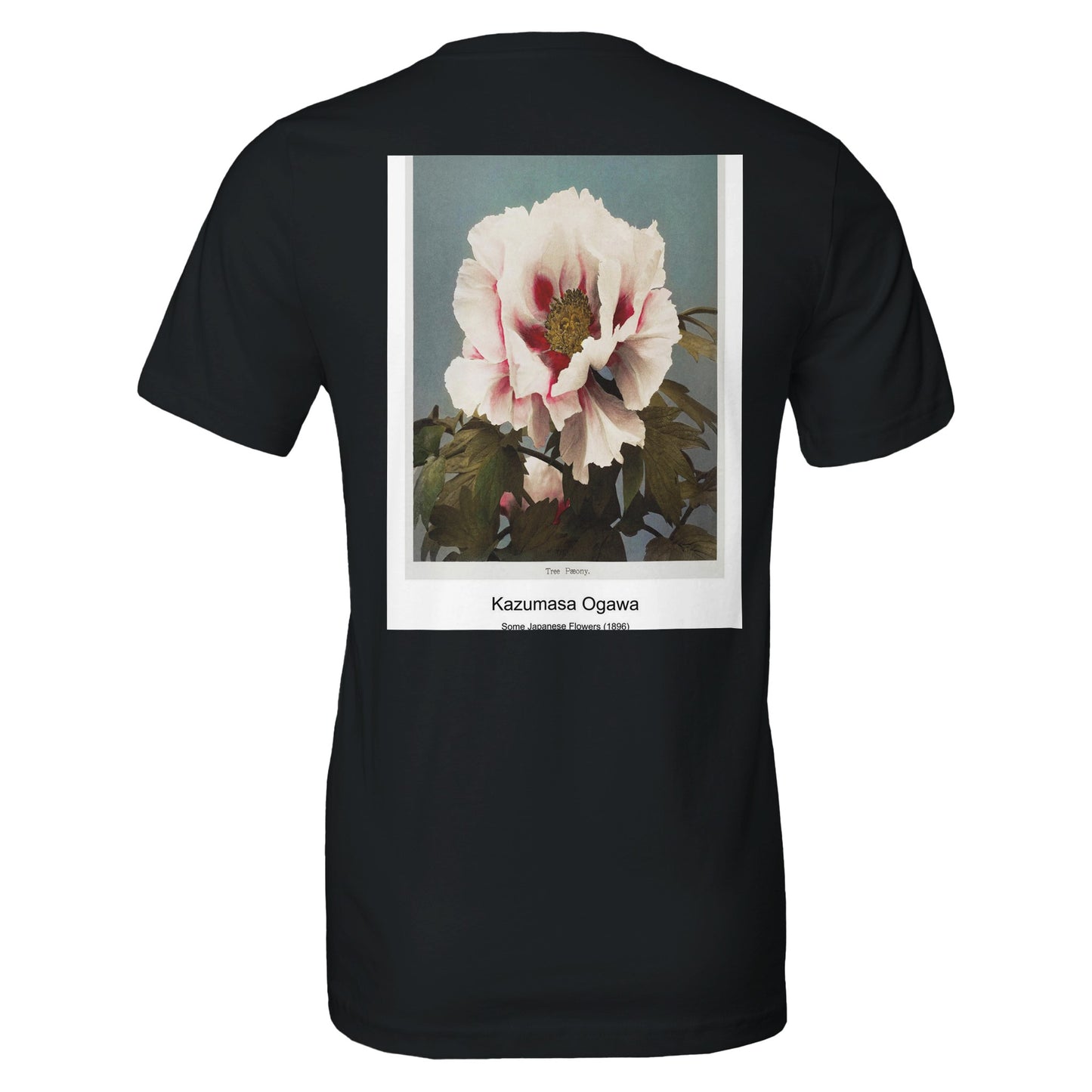 cc1312ab-22d8-46ff-bbd4-cafd07c9b802