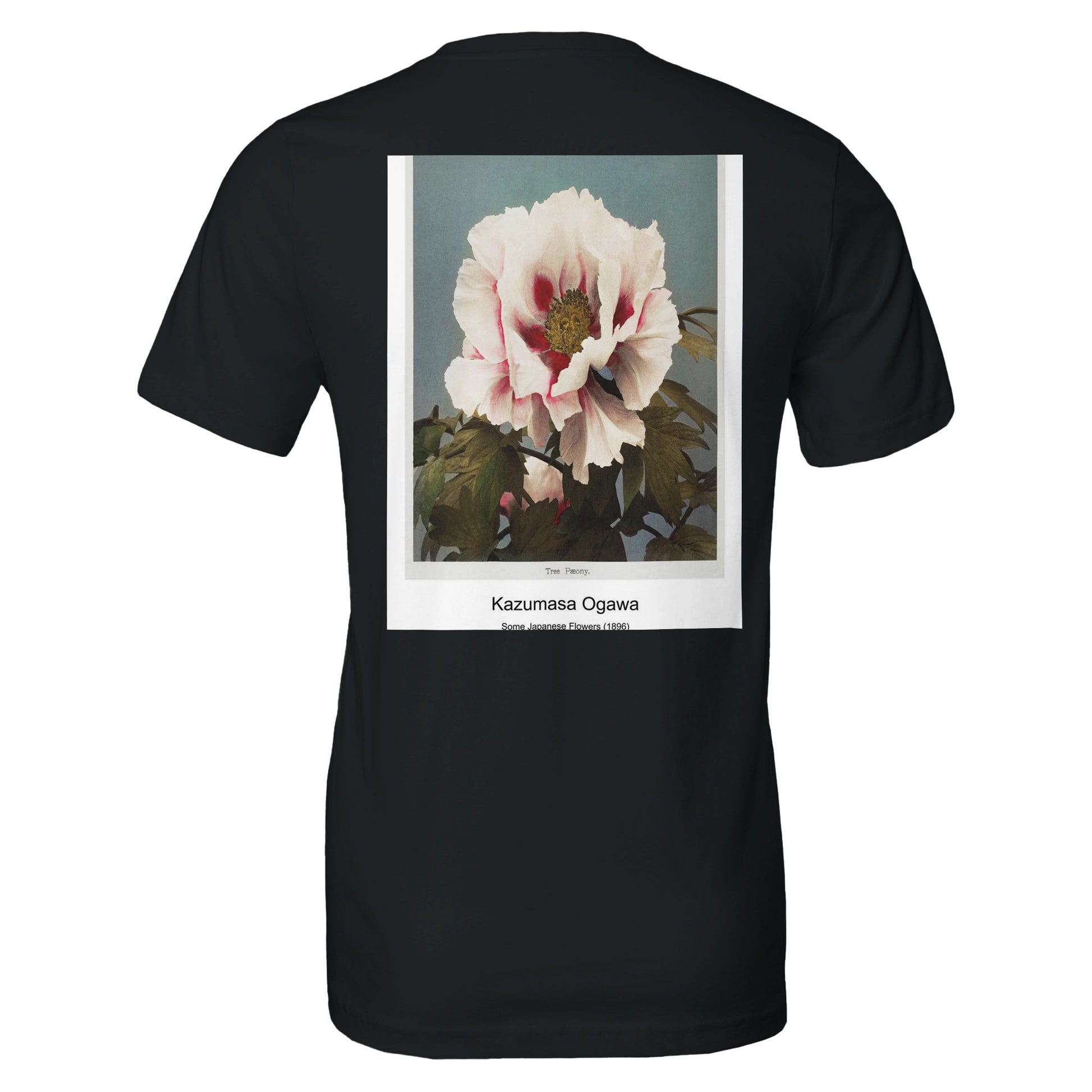 cc1312ab-22d8-46ff-bbd4-cafd07c9b802