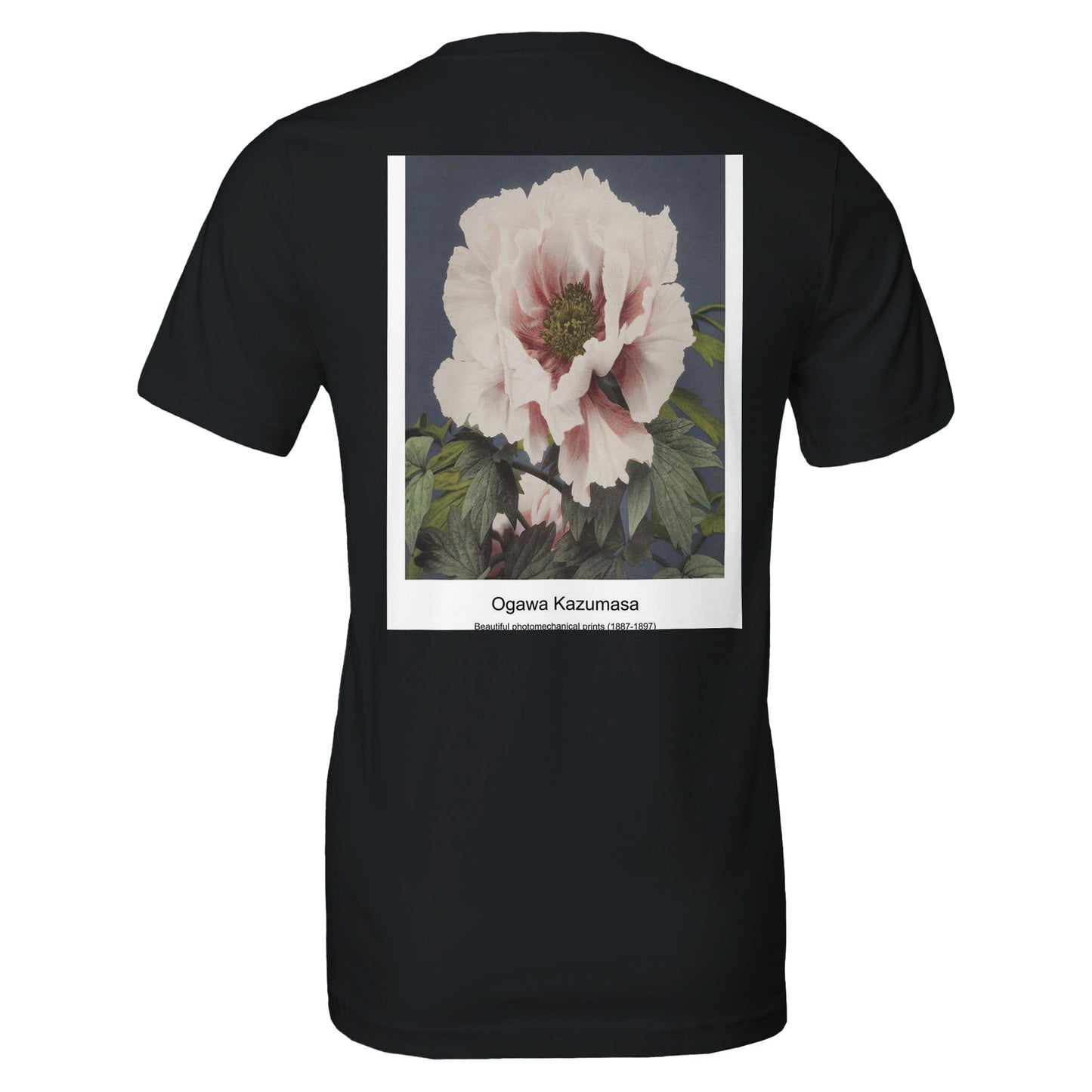 cc7315b1-4993-4e97-aca3-89e6f0abd18d