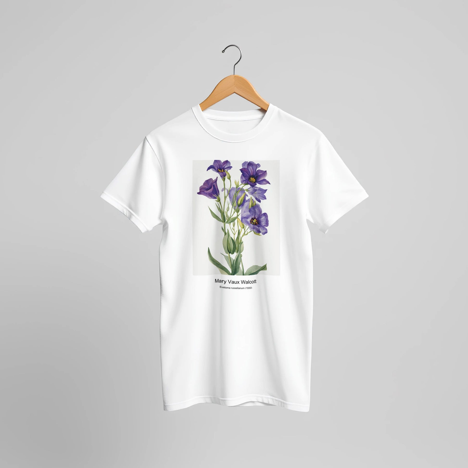 cd20d95b-80ba-417a-9e15-a7d71cf00822