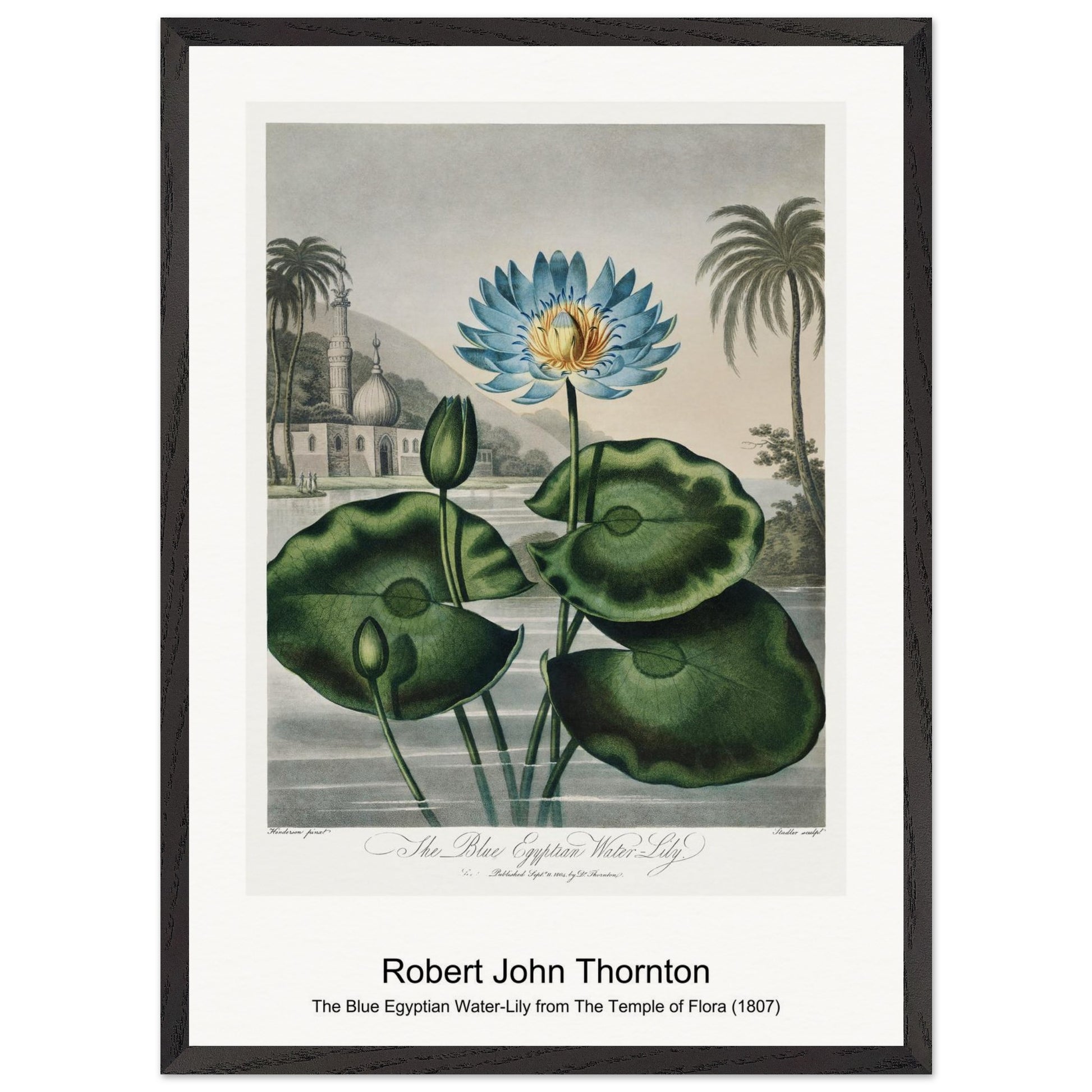 cd56737a-8d6b-4415-8fa4-500a1aef5287