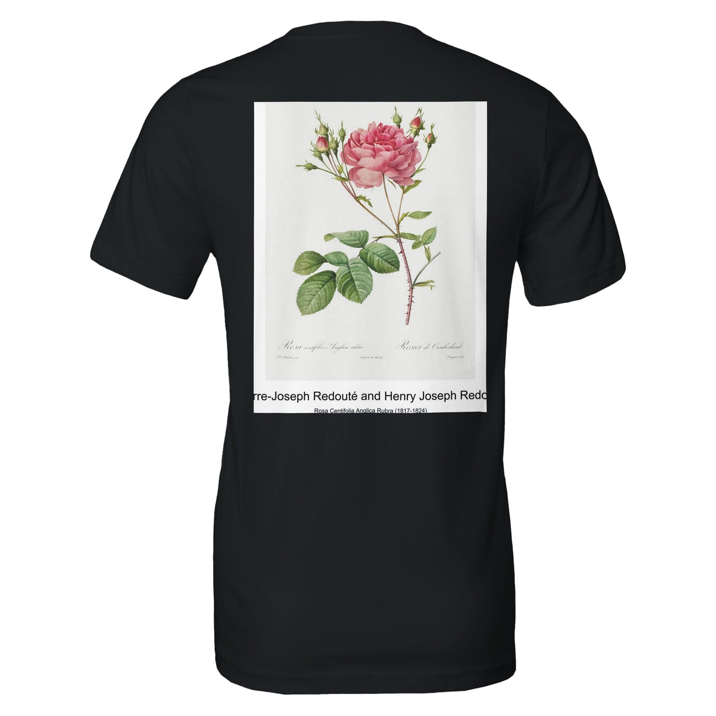 cd69b5eb-15a2-47b4-9673-bc23d6295c9c