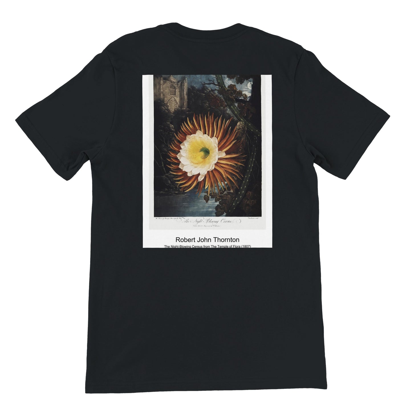 cd954791-3ae5-49a7-aa62-ab57a61a8206