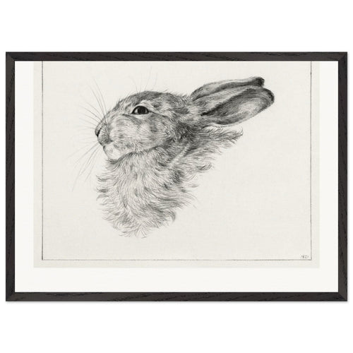 Head of a rabbit (1821) by Jean Bernard. Archival Print on Museum Quality Matte Paper. Premium Wood Framed Wall Art. Original Aspect Ratio