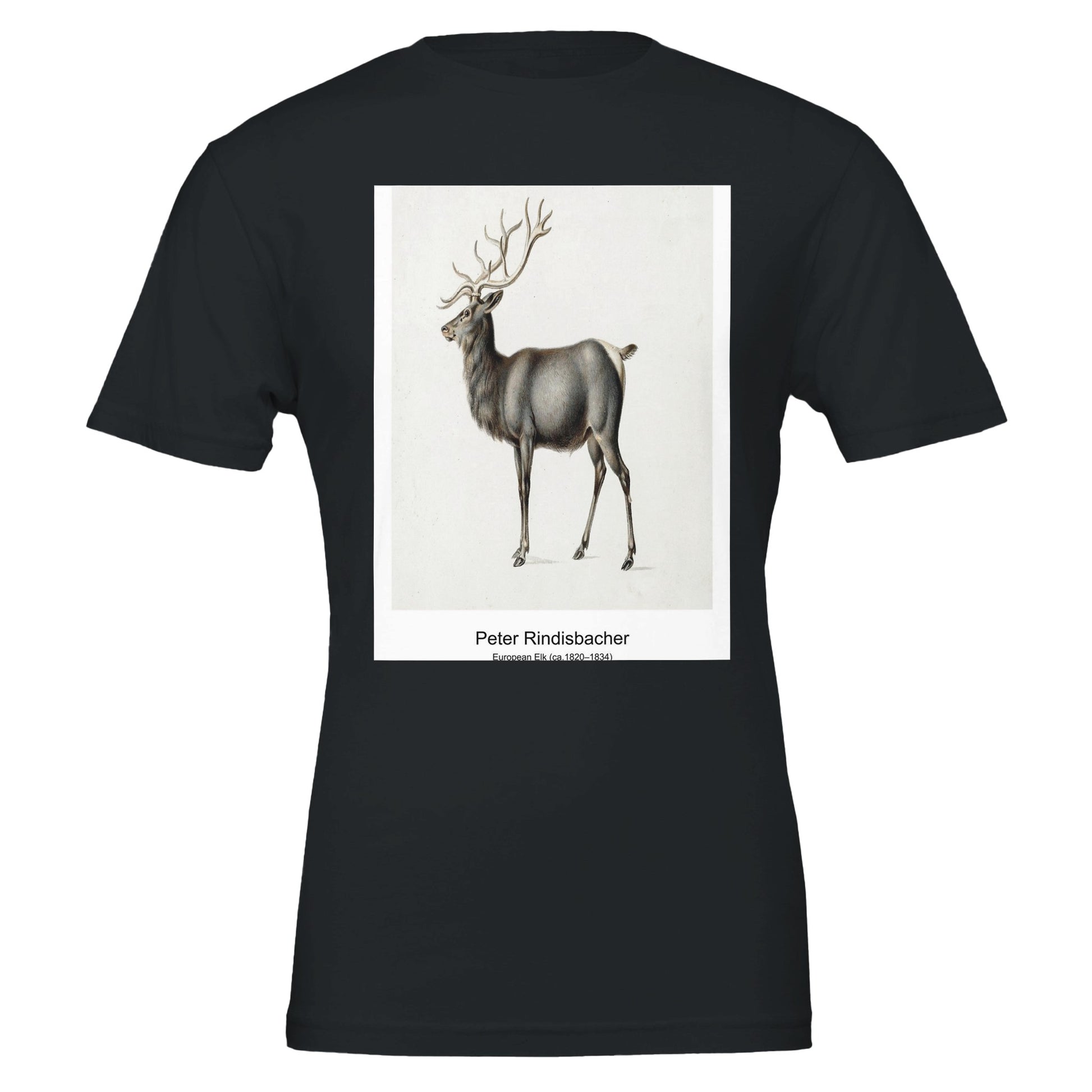 cf1a6088-d646-462e-a6a6-4e5832ad616d