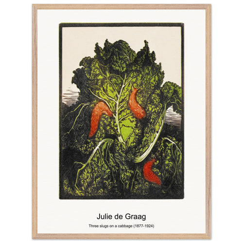 Three slugs on a cabbage (1877-1924) by Julie de Graag. Archival Print on Museum Quality Matte Paper. Premium Wood Framed Wall Art. Optimised Aspect Ratio.