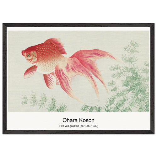 Birds at full moon (1900 - 1936) by Ohara Koson. Archival Print on Museum Quality Matte Paper. Premium Wood Framed Wall Art. Original Aspect Ratio