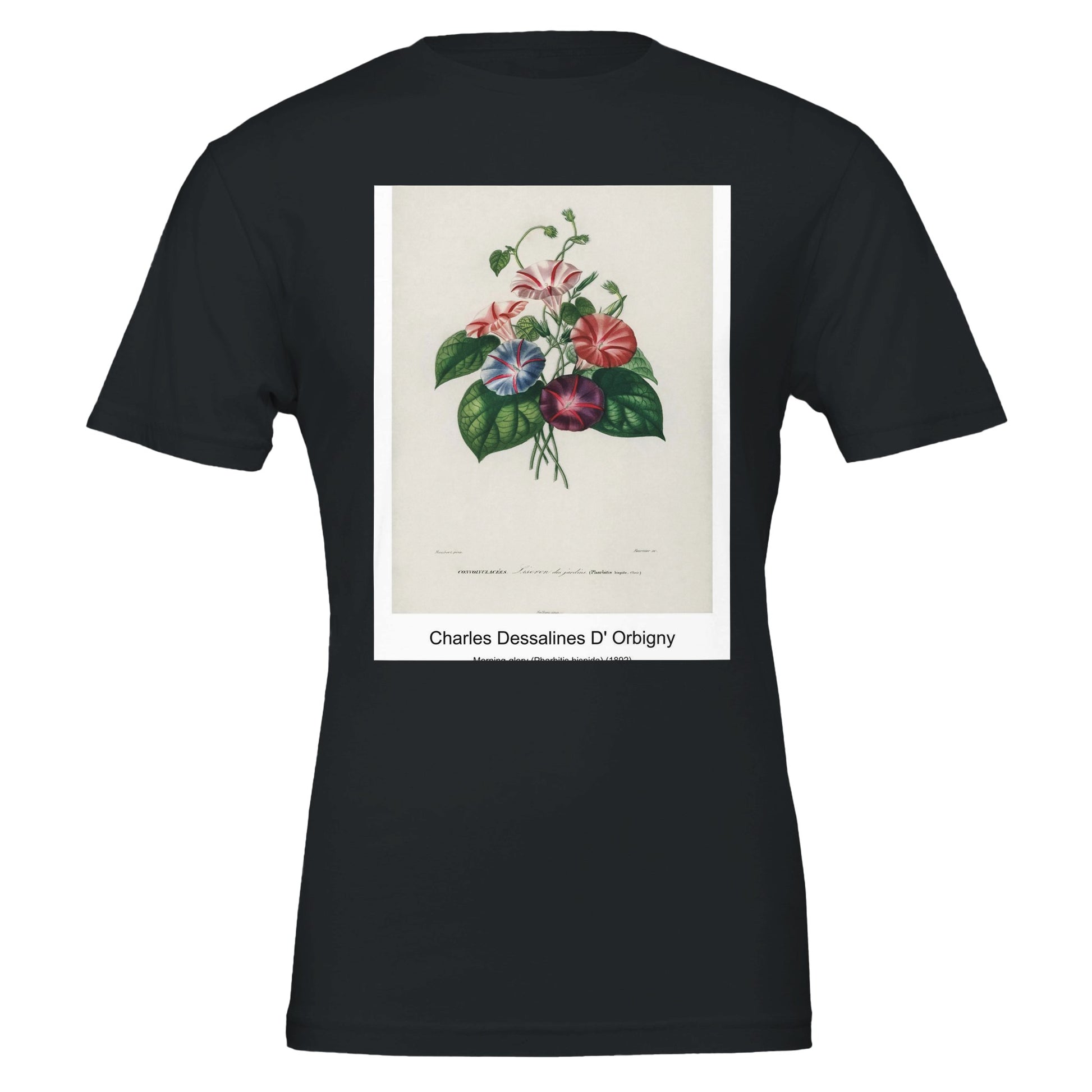 cfc12ba4-702b-42ab-8fd7-1dca501ba365