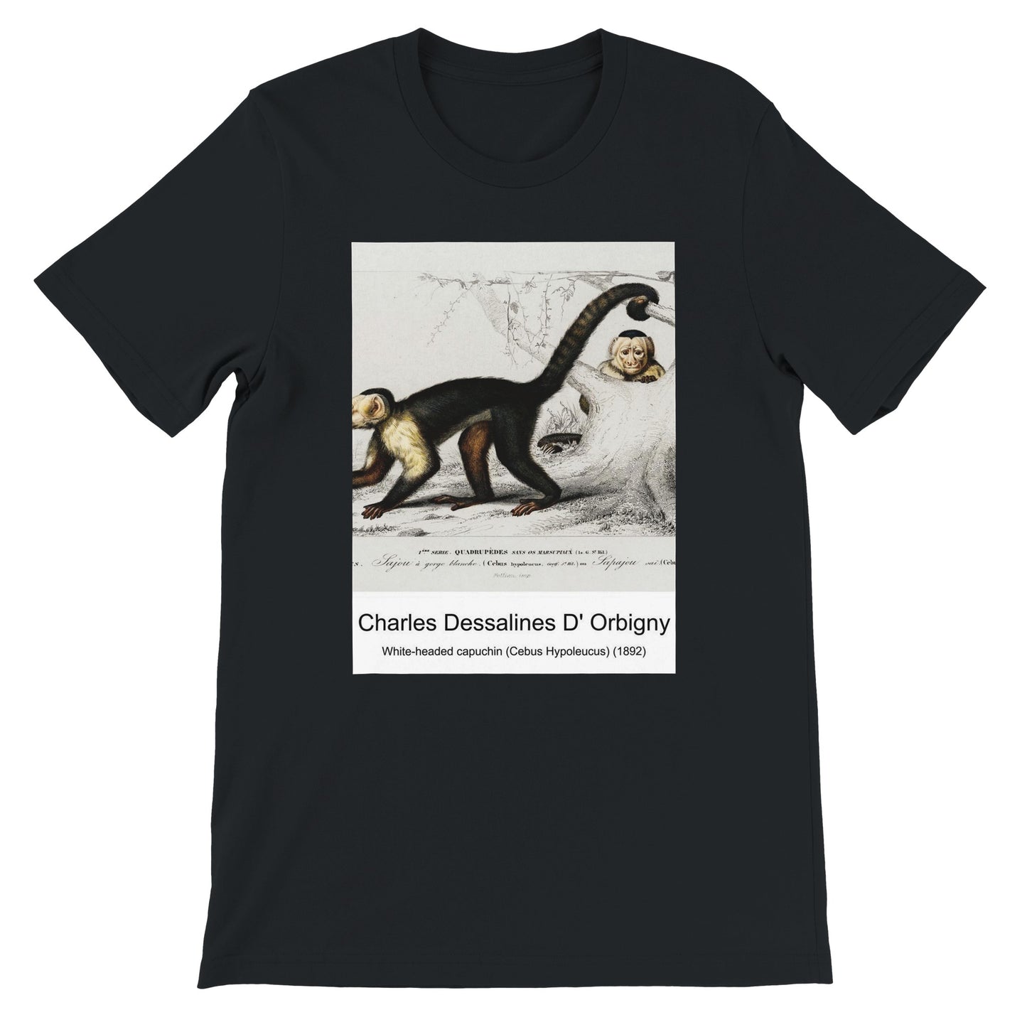 d026839c-5585-48b4-ba6d-416c37da882c