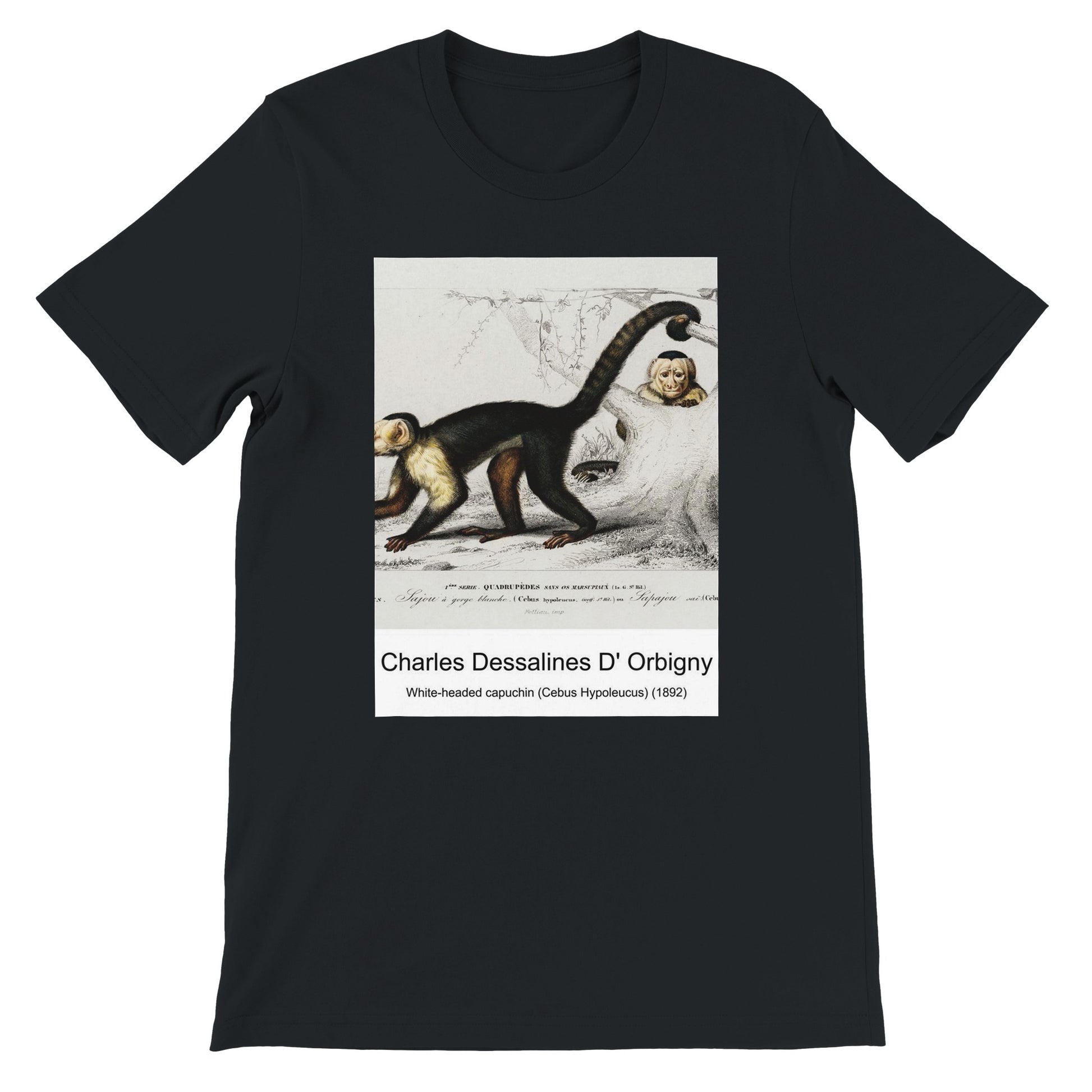 d026839c-5585-48b4-ba6d-416c37da882c