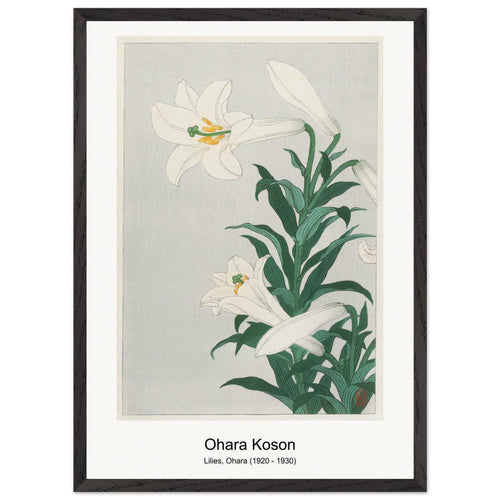 Monkey in cockatoo (1900 - 1930) by Ohara Koson. Archival Print on Museum Quality Matte Paper. Premium Wood Framed Wall Art. Original Aspect Ratio