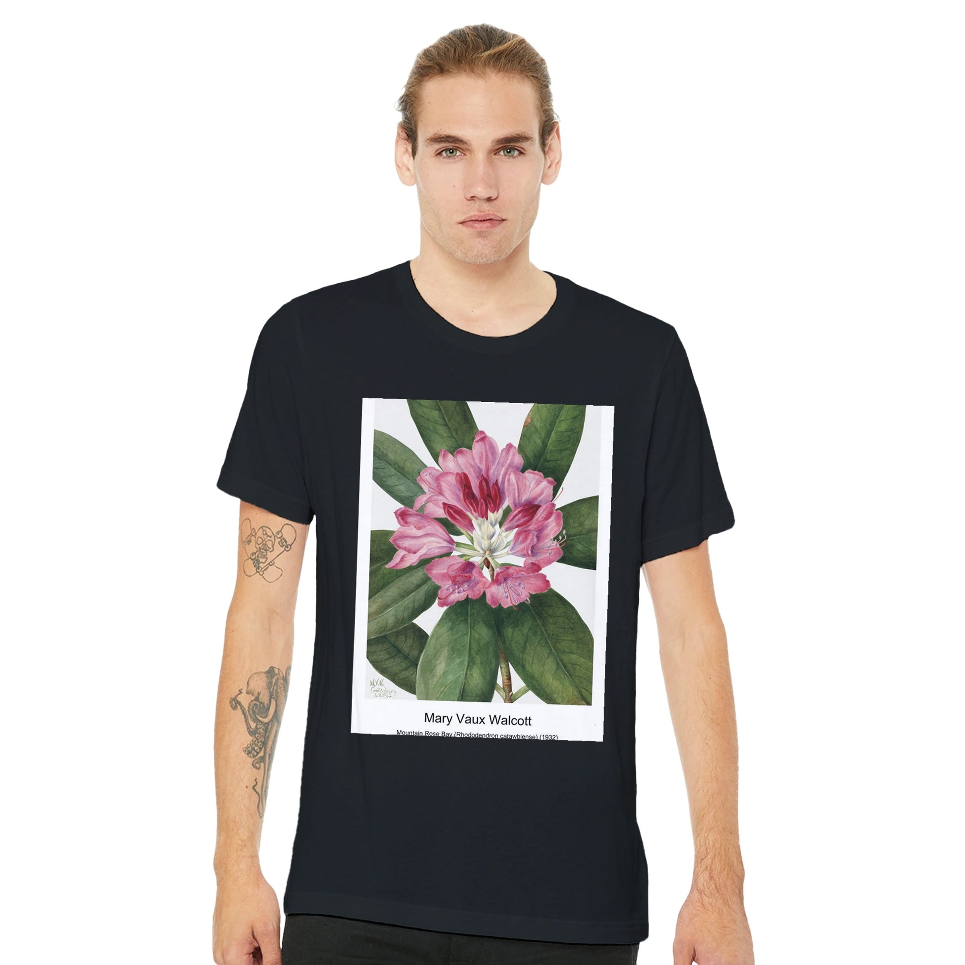 d161a91b-9034-48b2-b3e9-5dba4653d563