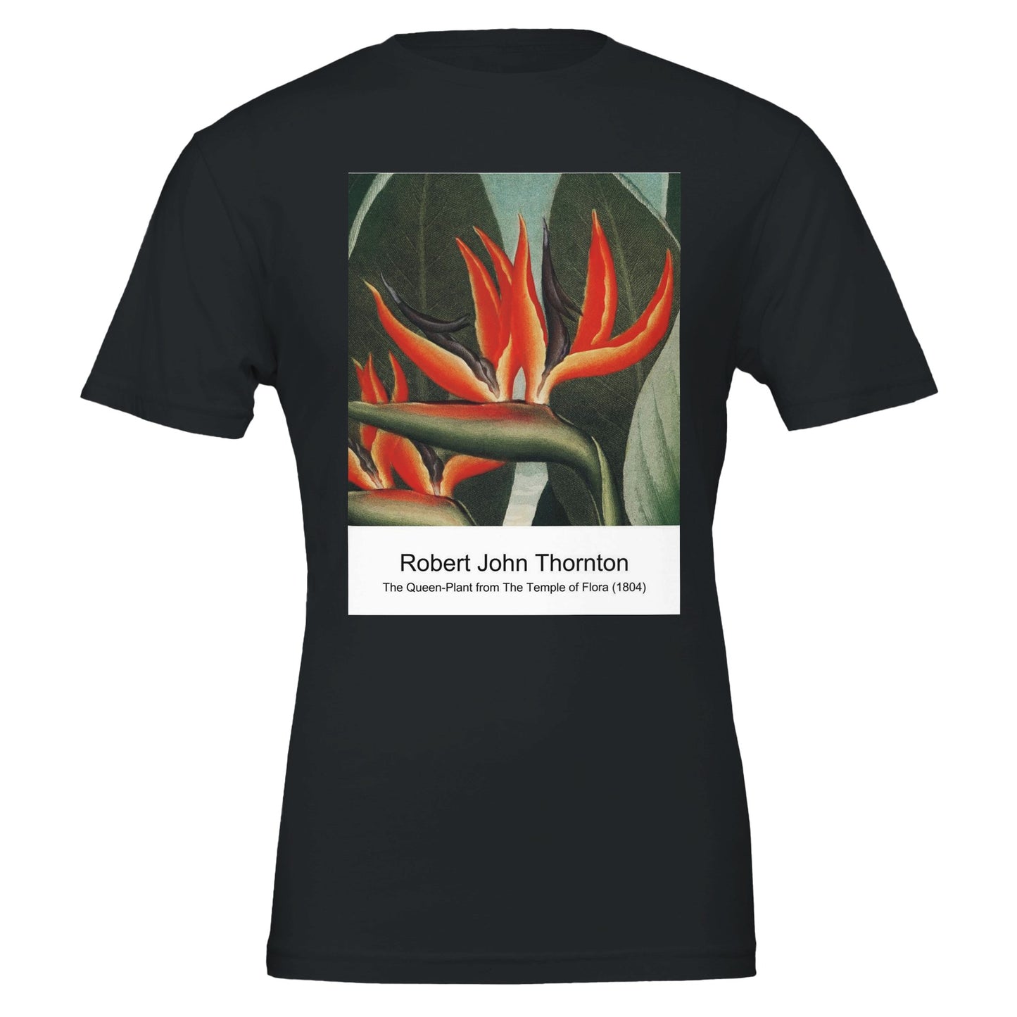 d1794dfb-662f-4460-90d7-c09517151e54