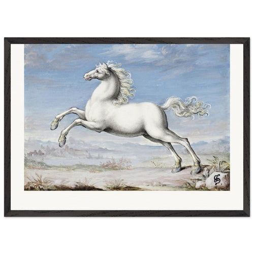 White horse (1552-1601) by Joris Hoefnagel. Archival Print on Museum Quality Matte Paper. Premium Wood Framed Wall Art. Original Aspect Ratio