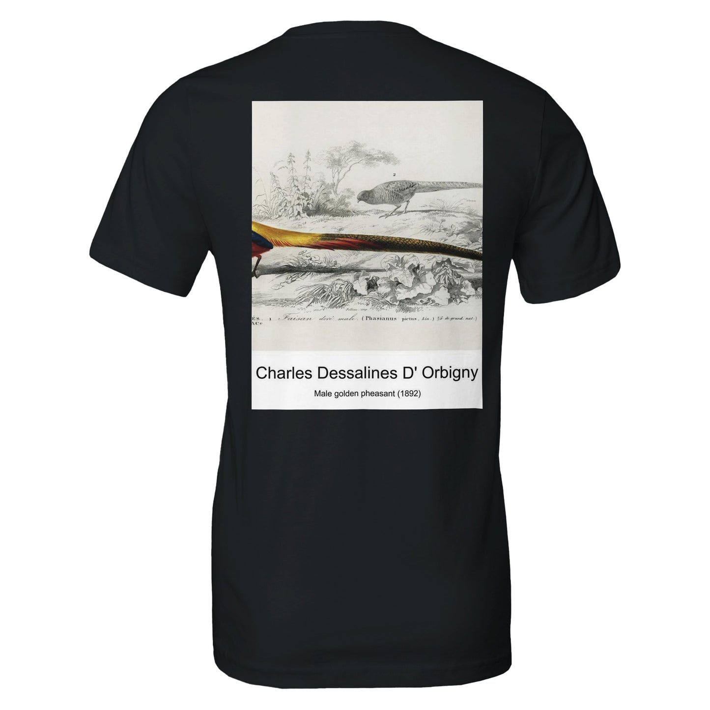 d1b6b6c6-1f69-498c-a253-0631b02e0274