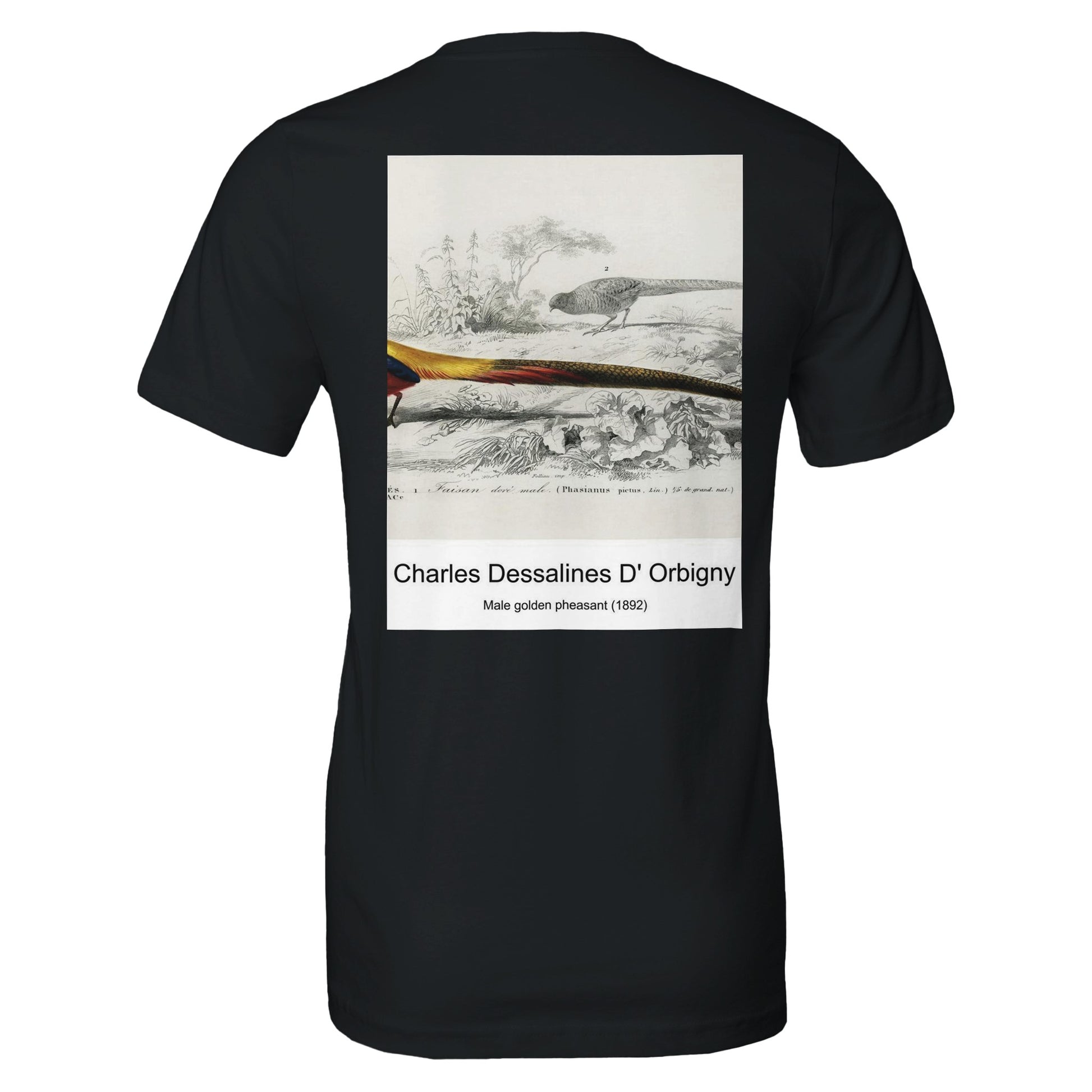 d1b6b6c6-1f69-498c-a253-0631b02e0274