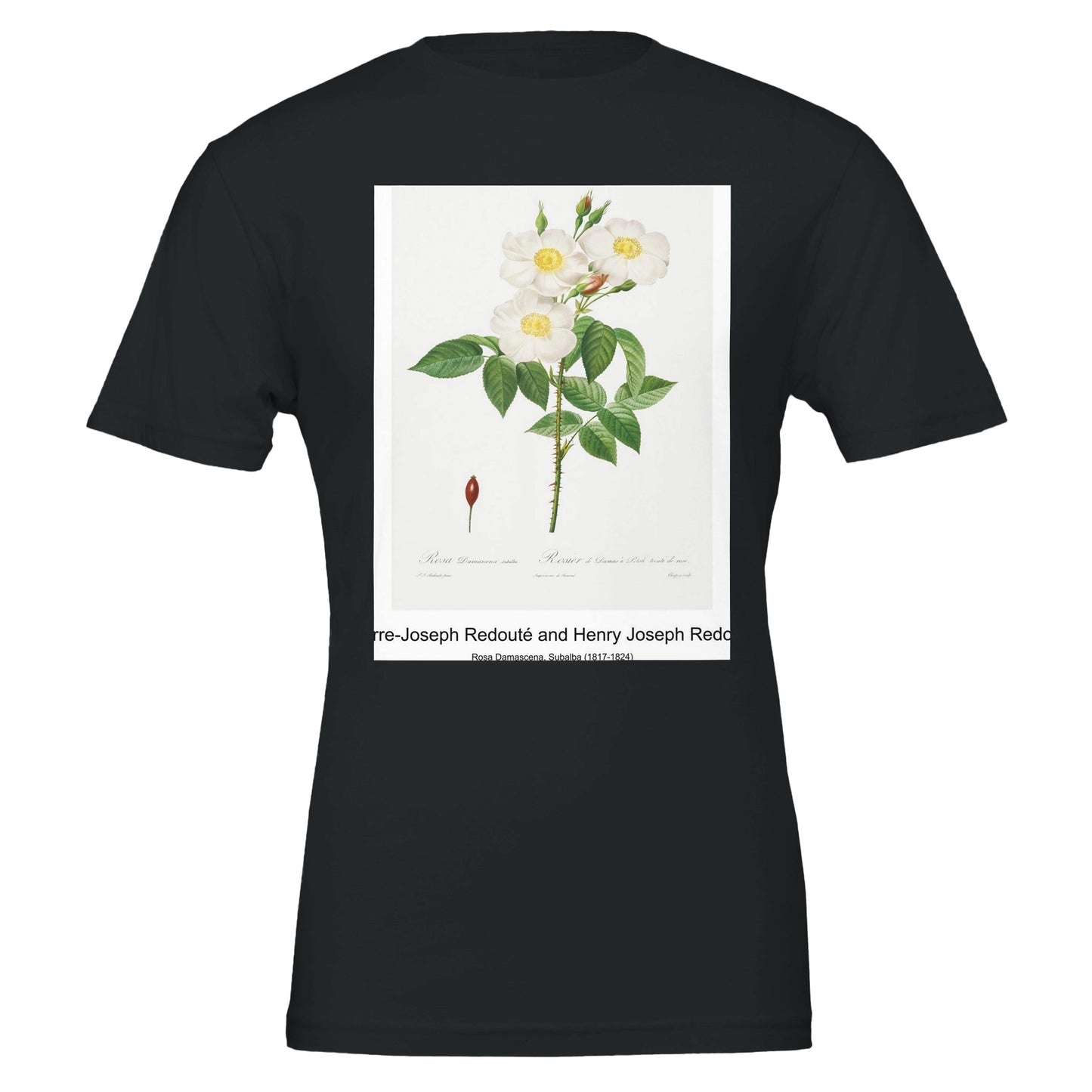 d21b7caf-2c8a-4abd-876e-c120cb6465d6