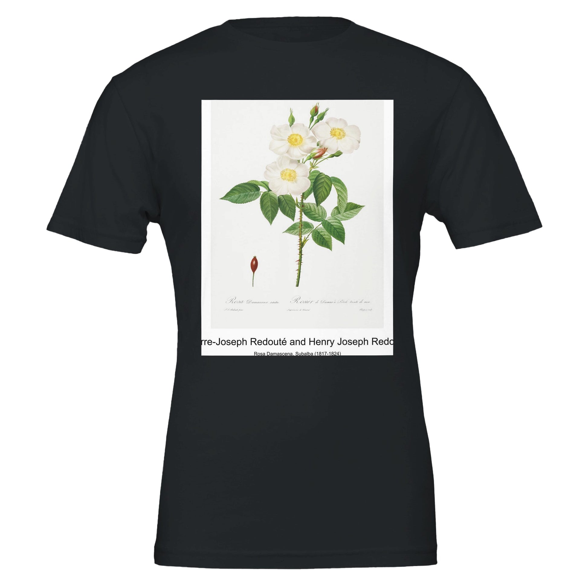 d21b7caf-2c8a-4abd-876e-c120cb6465d6