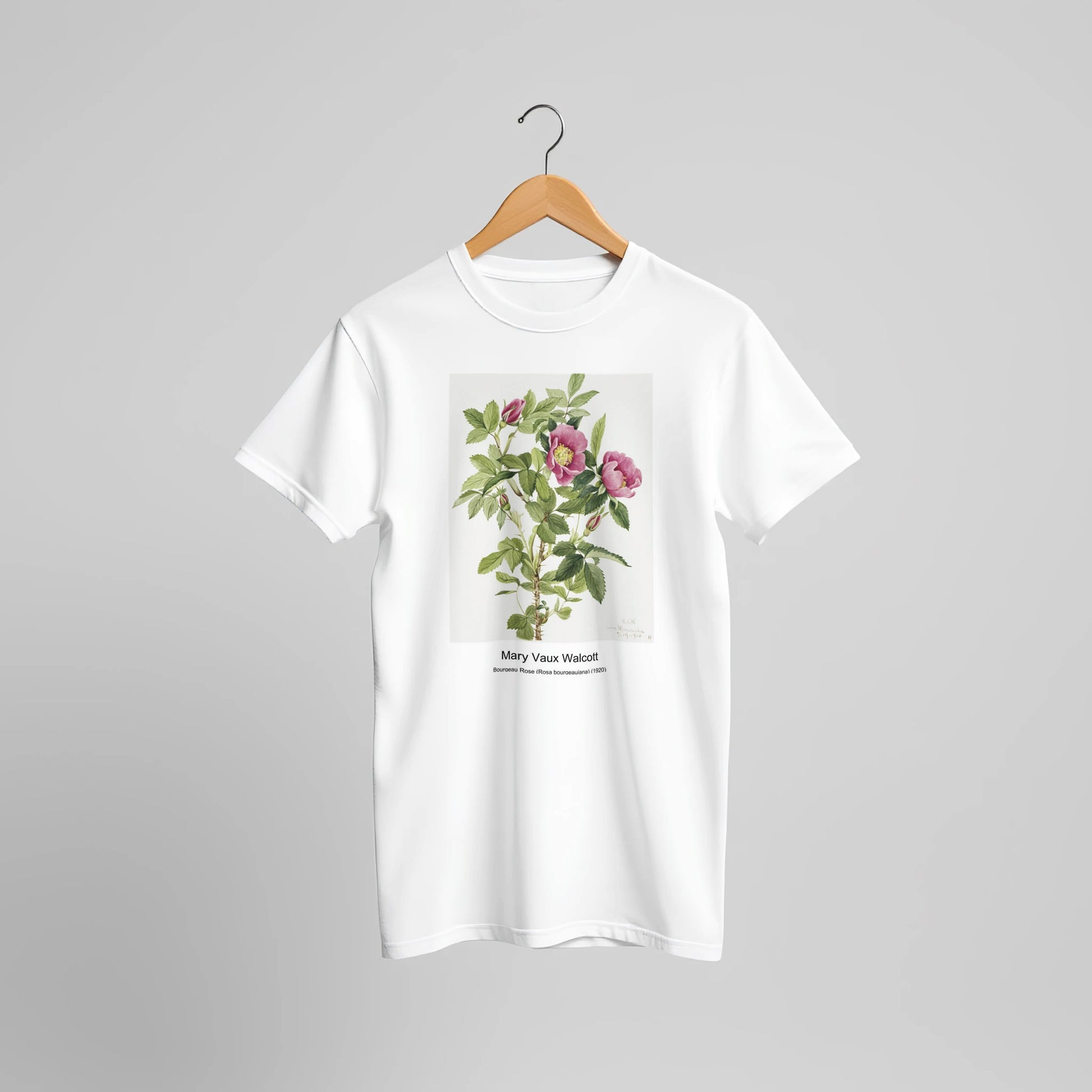 d3ebe75f-fbdf-463b-9ed5-e022b1f21647