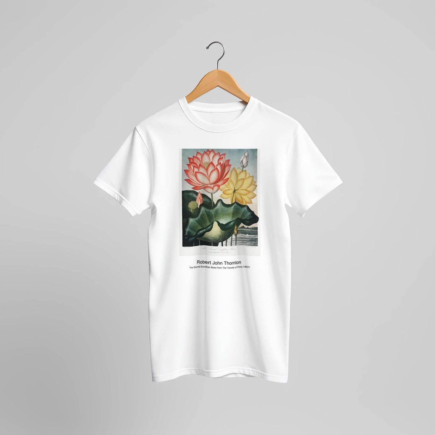 d3f599f9-45cc-4740-b451-089eba320e01