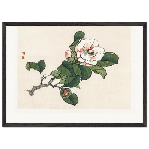 Camelia (1913) by Kōno Bairei. Archival Print on Museum Quality Matte Paper. Premium Wood Framed Wall Art. Original Aspect Ratio