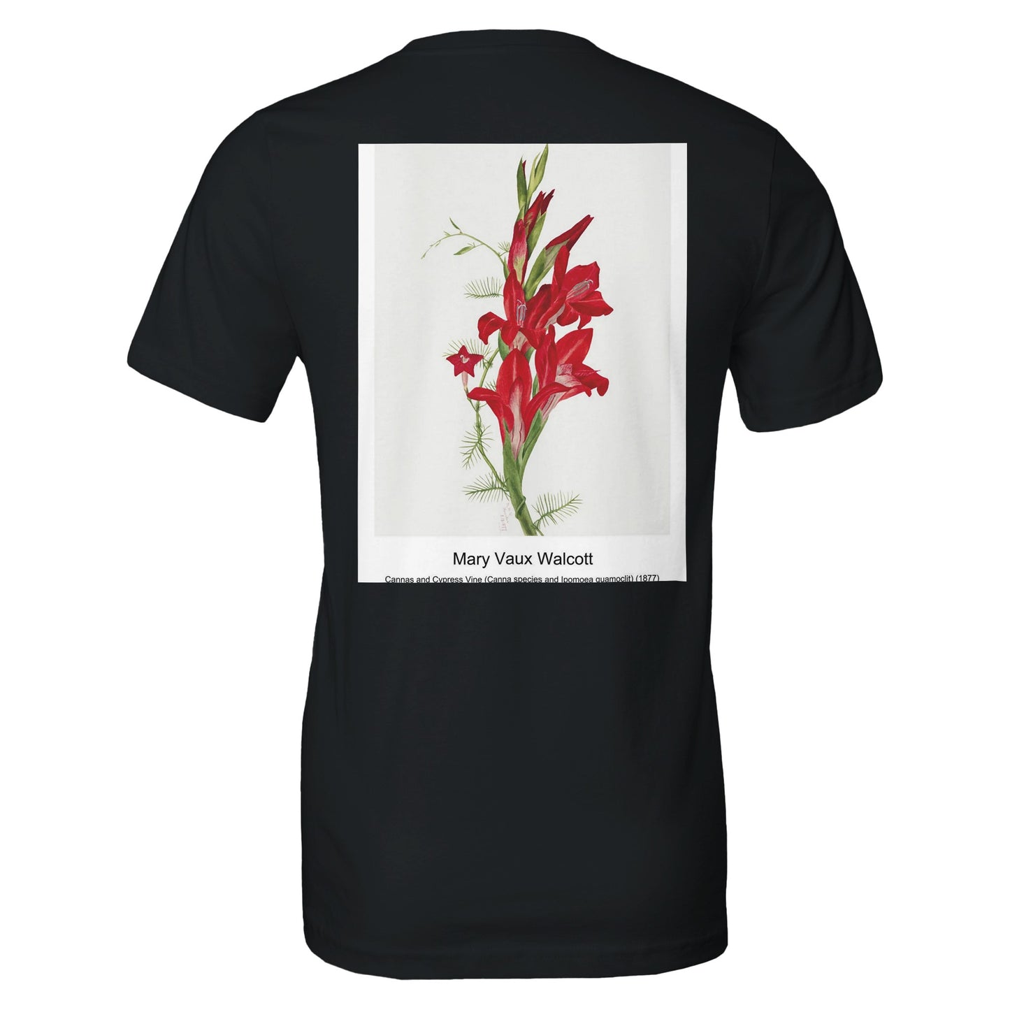 d5185f09-ef05-4877-8e0e-37f5c13b4672