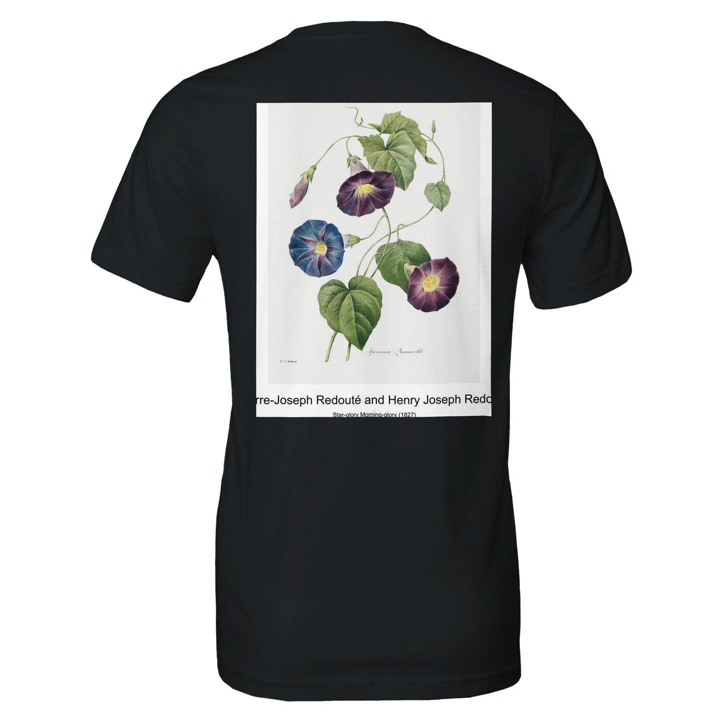 d583830a-7196-4359-9b65-baa2dd9be028