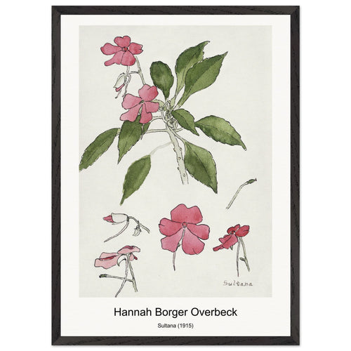 Sultana (1915) by Hannah Borger Overbeck. Archival Print on Museum Quality Matte Paper. Premium Wood Framed Wall Art. Optimised Aspect Ratio.